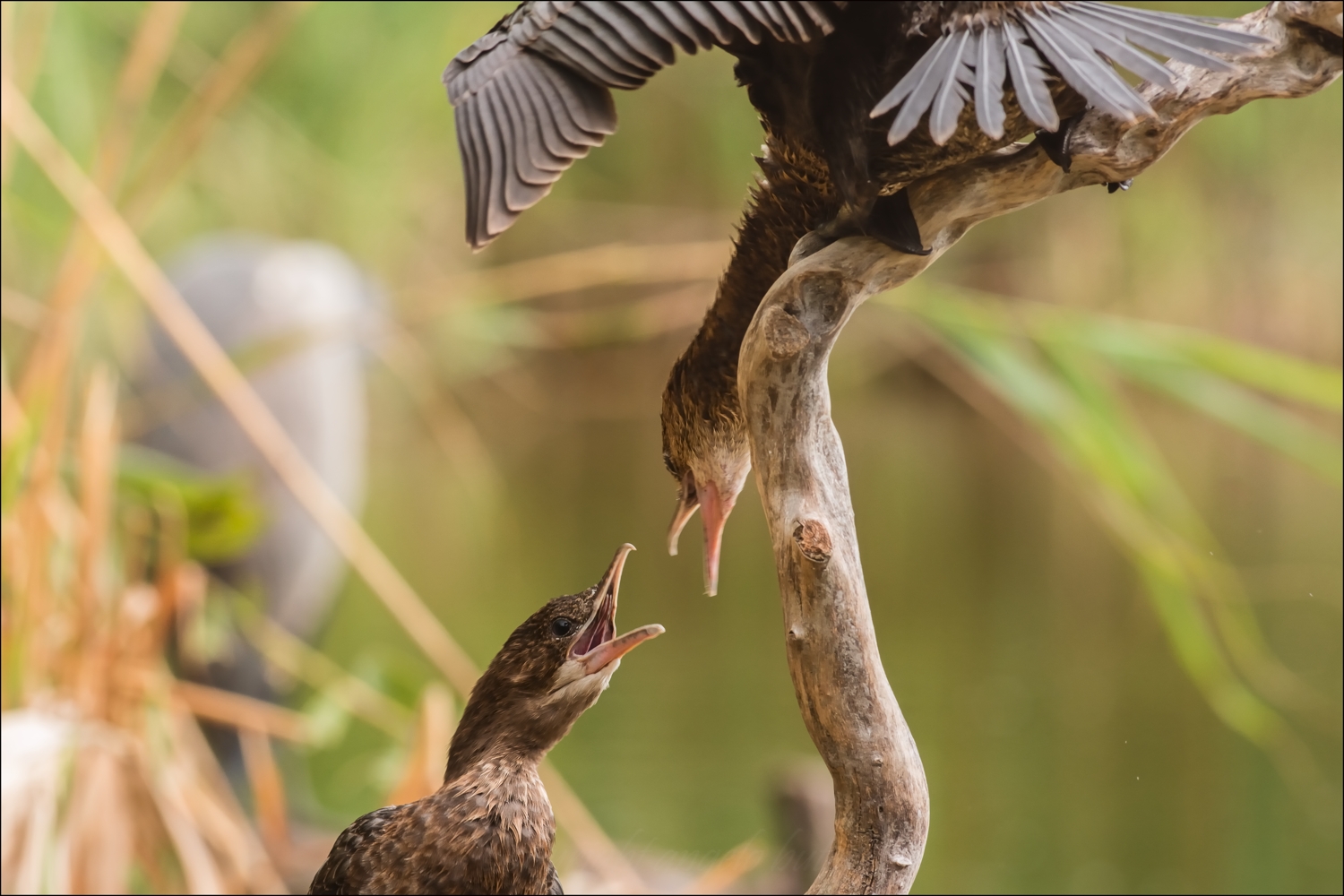 Lotta per un posto al Sole