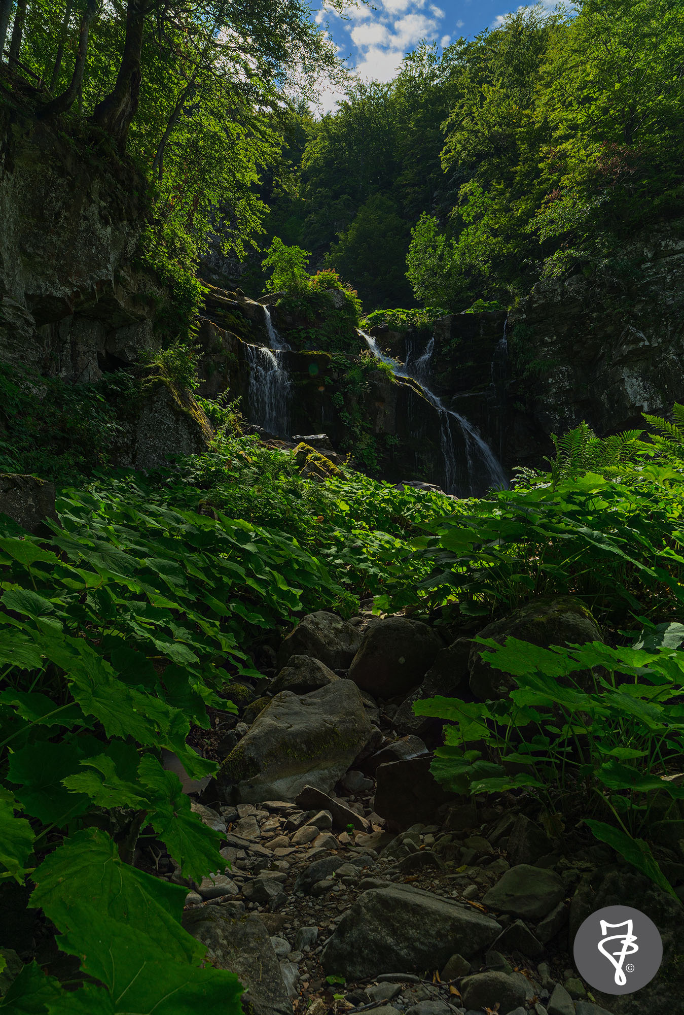 The Niagara Dardagna