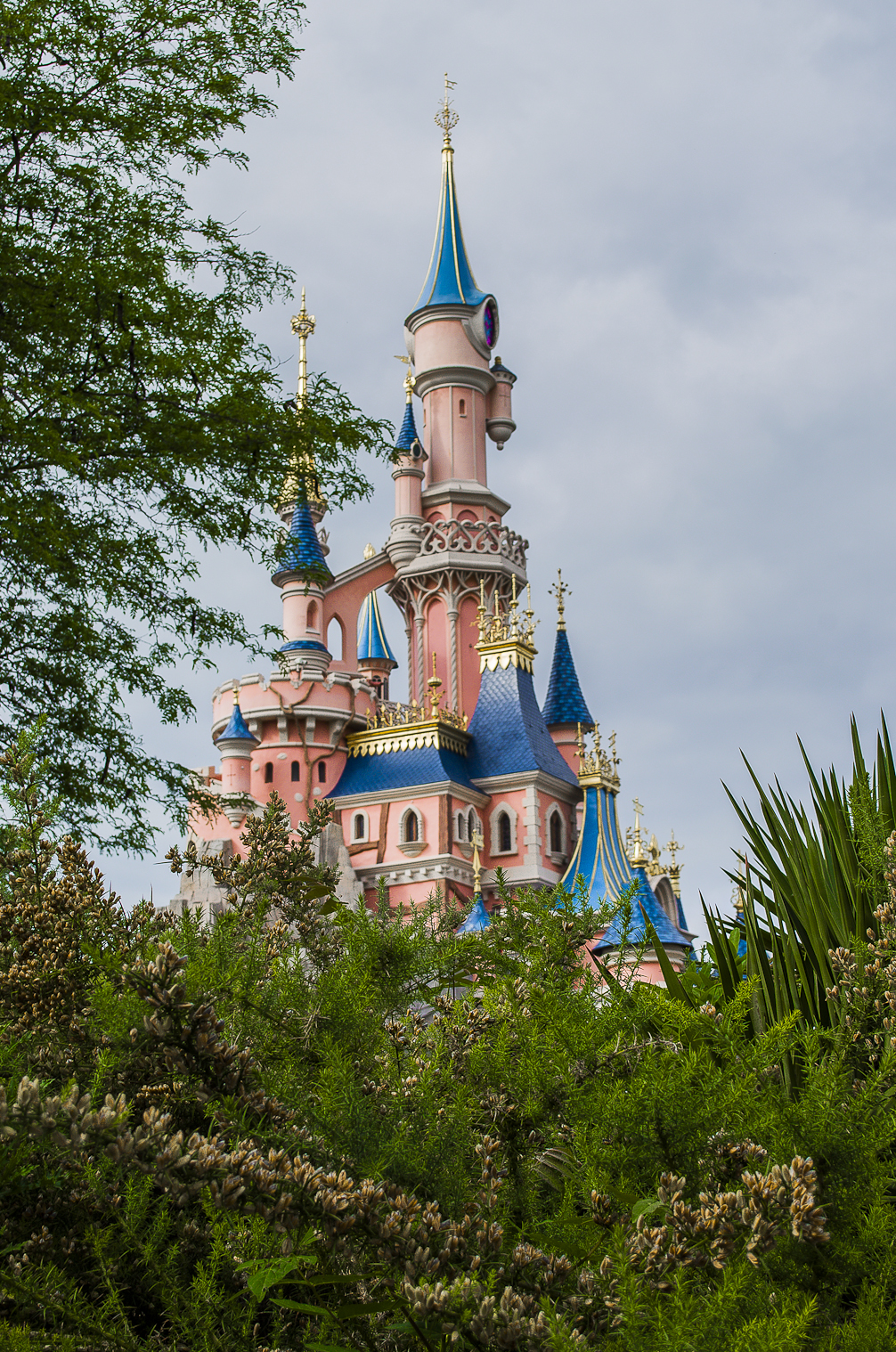 Disney Castle
