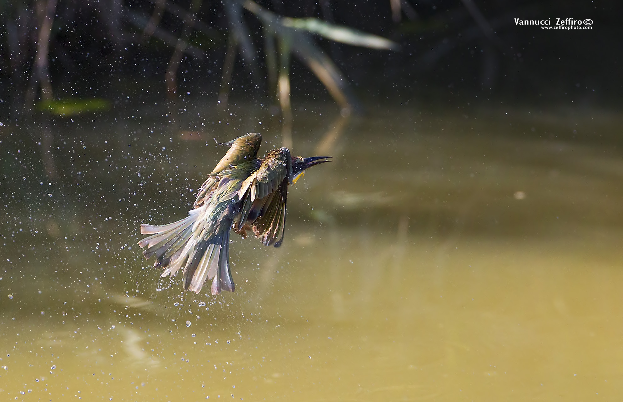 the bathroom before departure