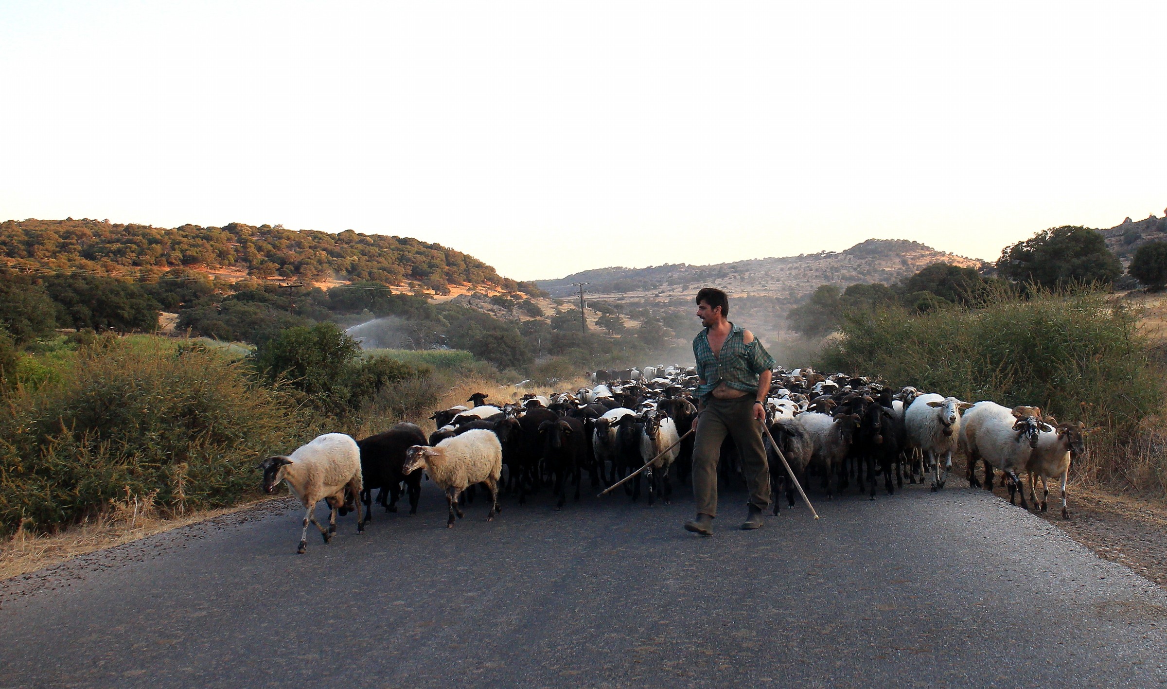 On the roads of Lesvos