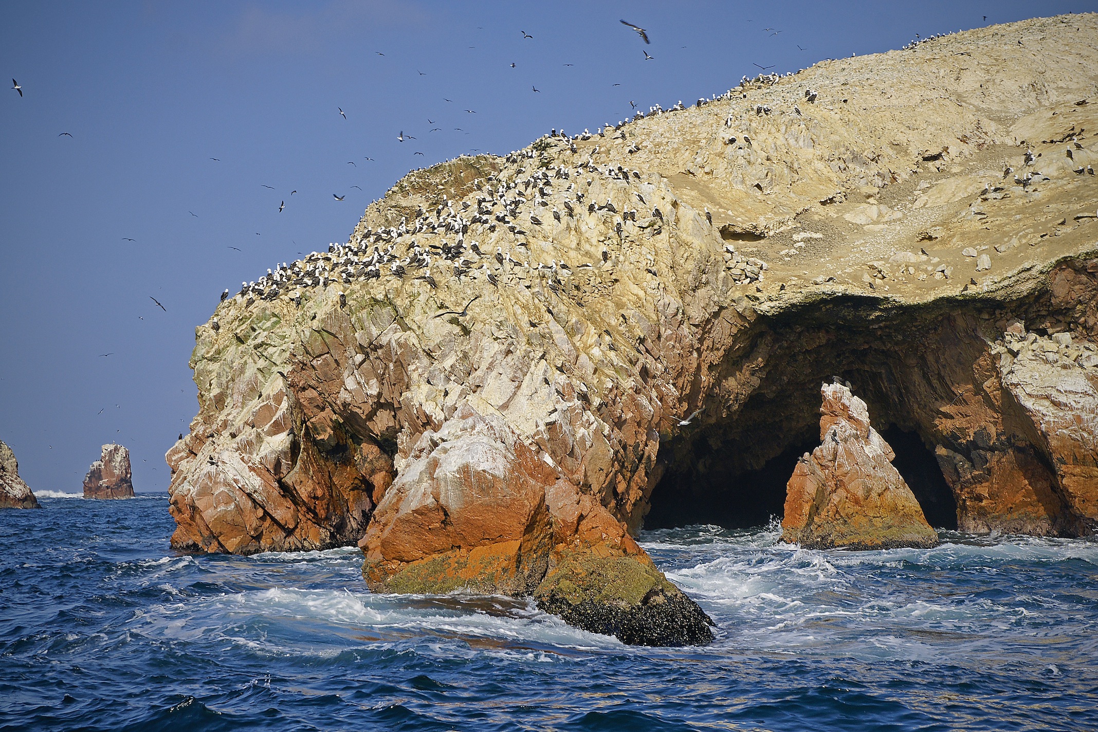 Isole Ballestas