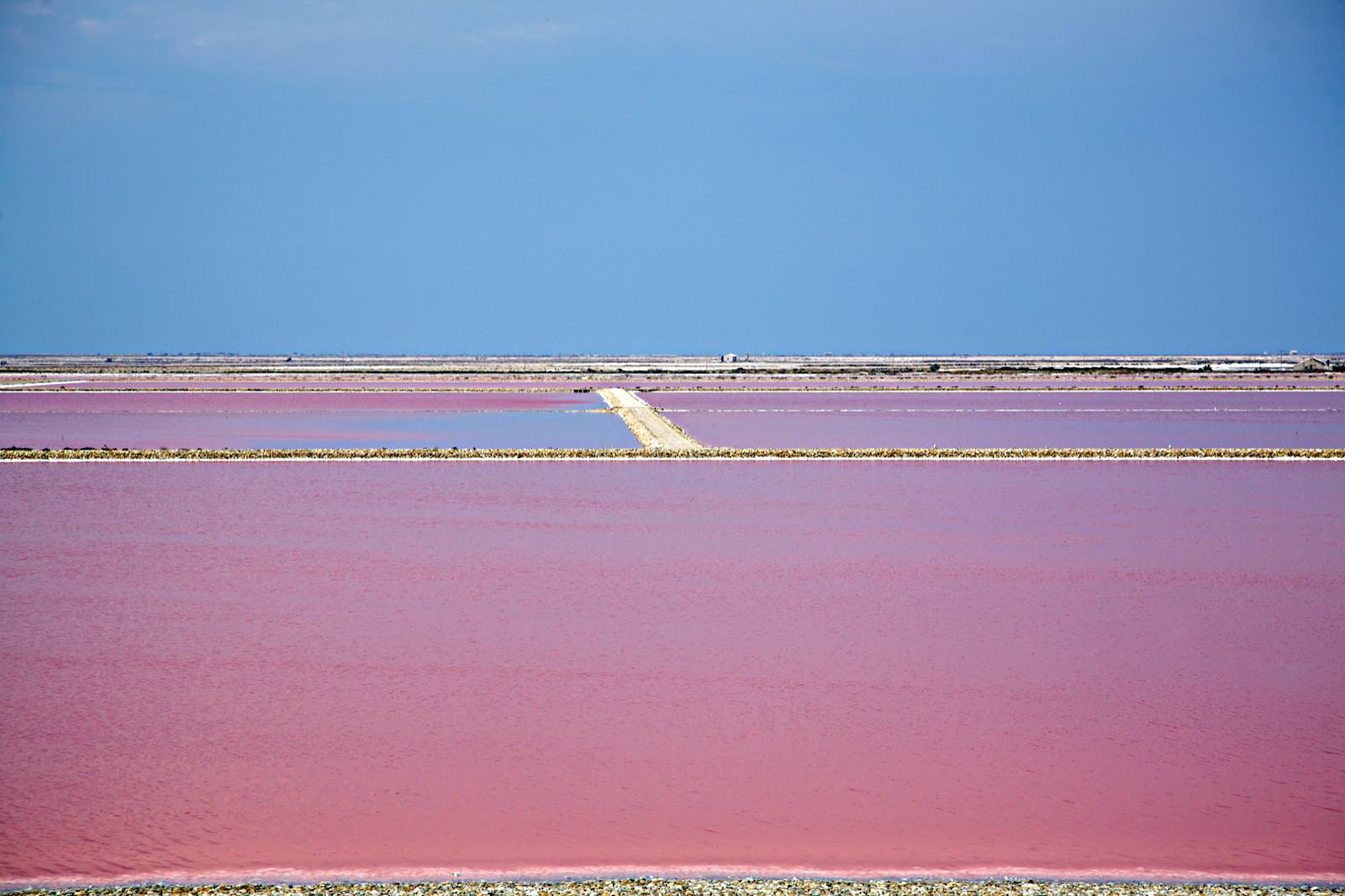 Pink salt ... Salin de Giraud