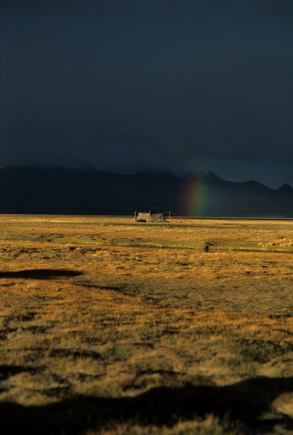 Towards the Night-Tibet Tibetan