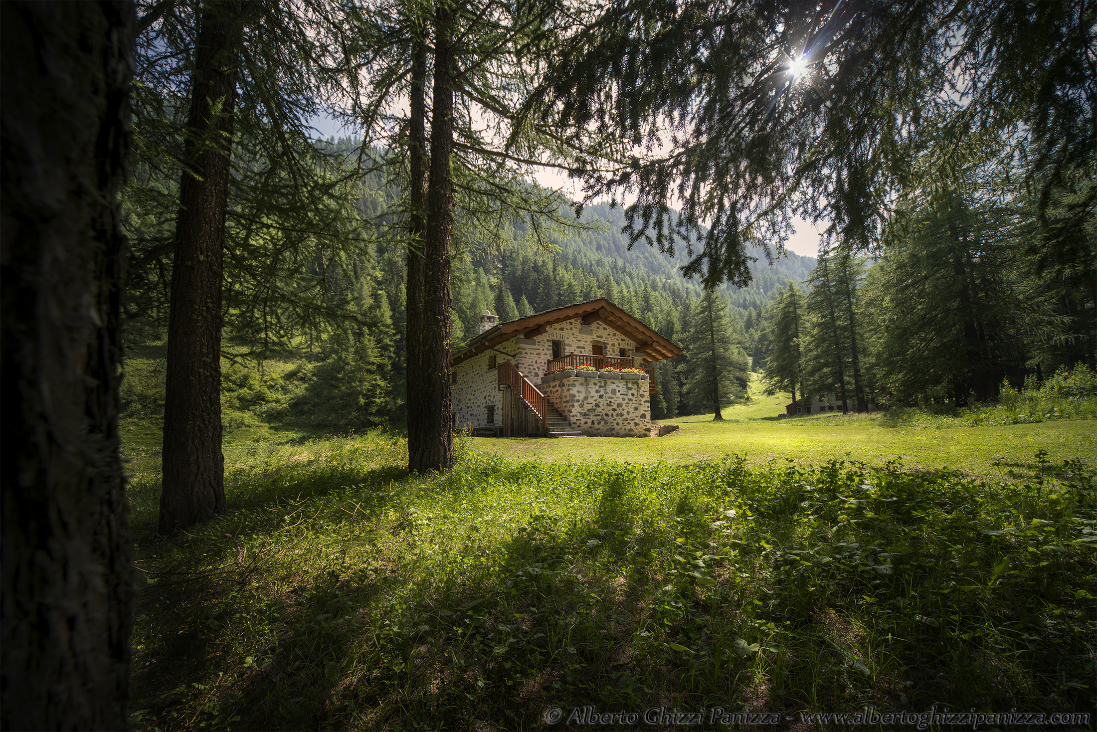 That house in the woods