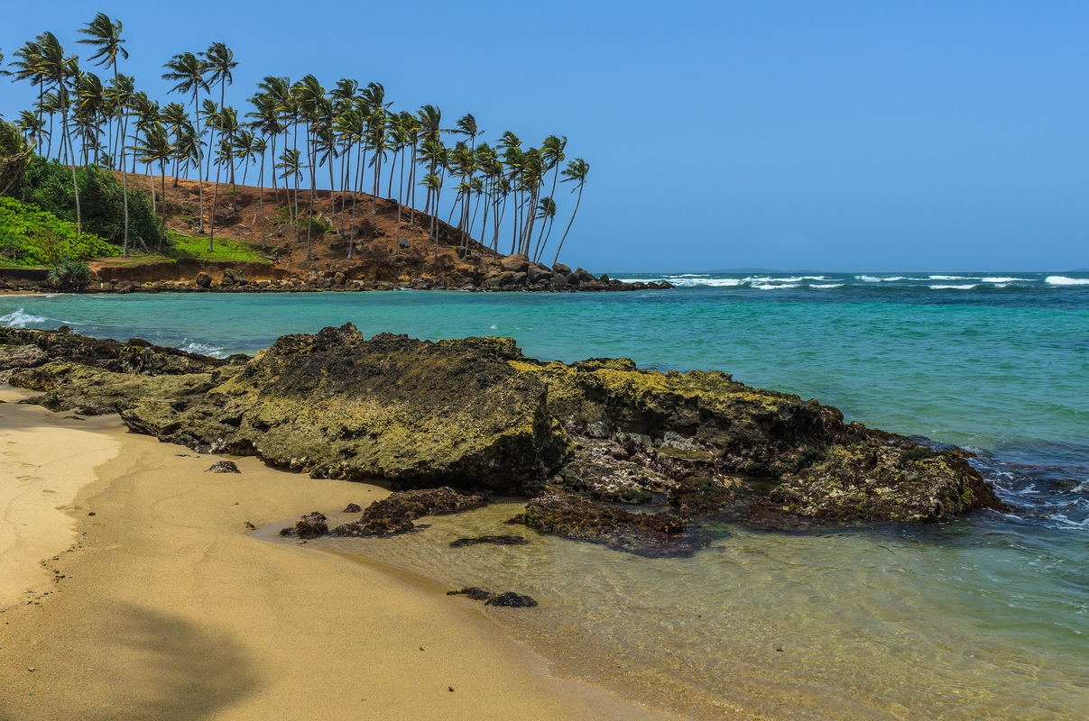 Sri Lanka - Mirissa