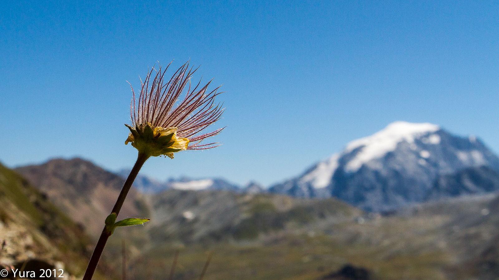 Looking at the 'Ortels
