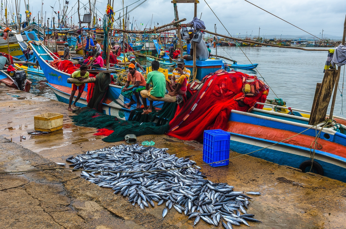 Sri Lank - Pescatori di Mirissa