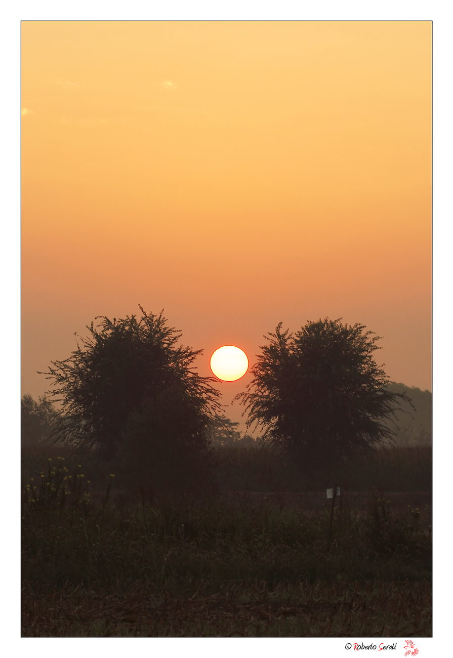 Sunrise in the countryside
