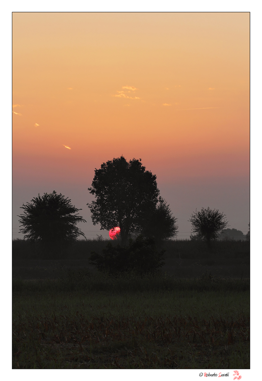 Sunrise in the countryside
