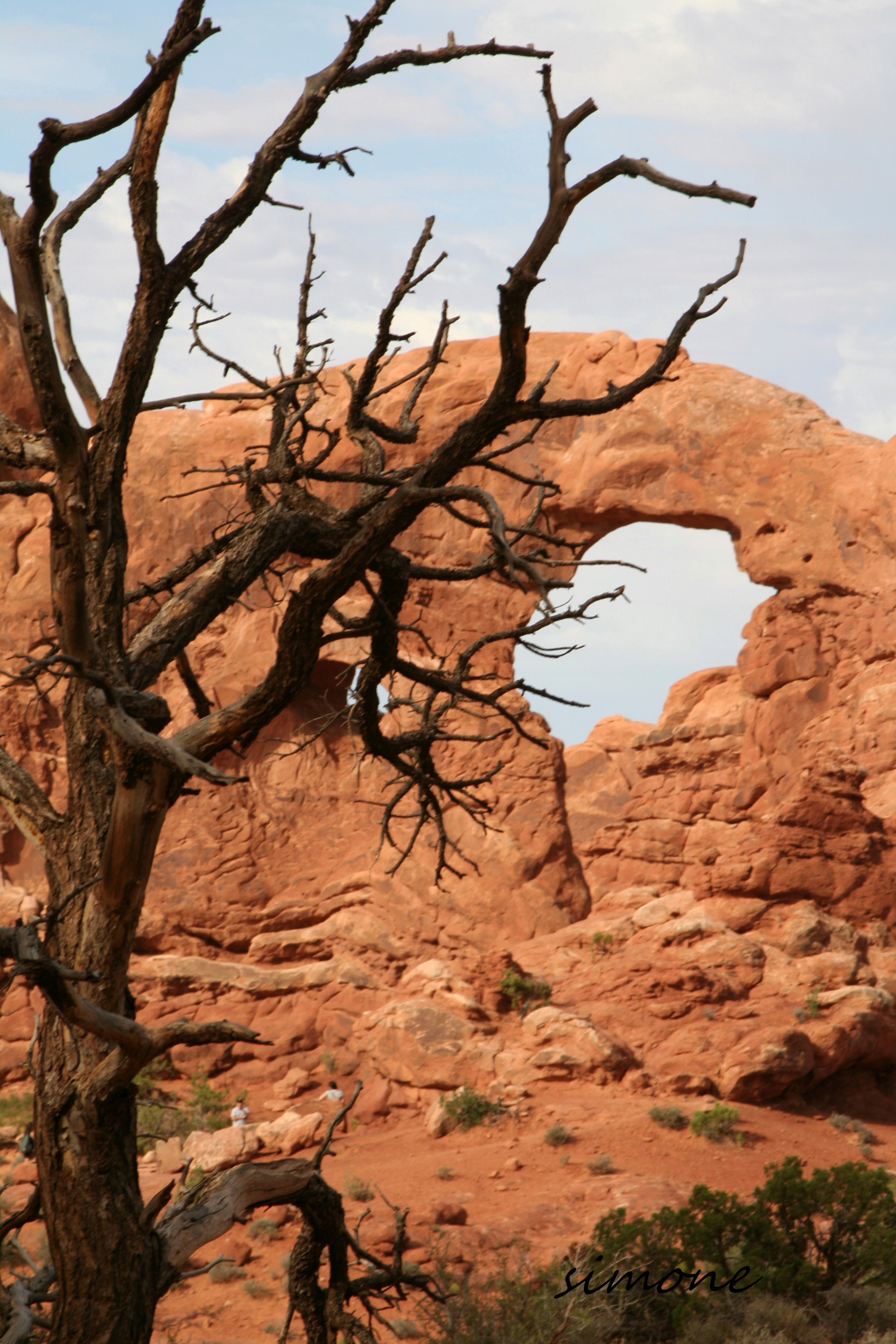 Postcards from Arches