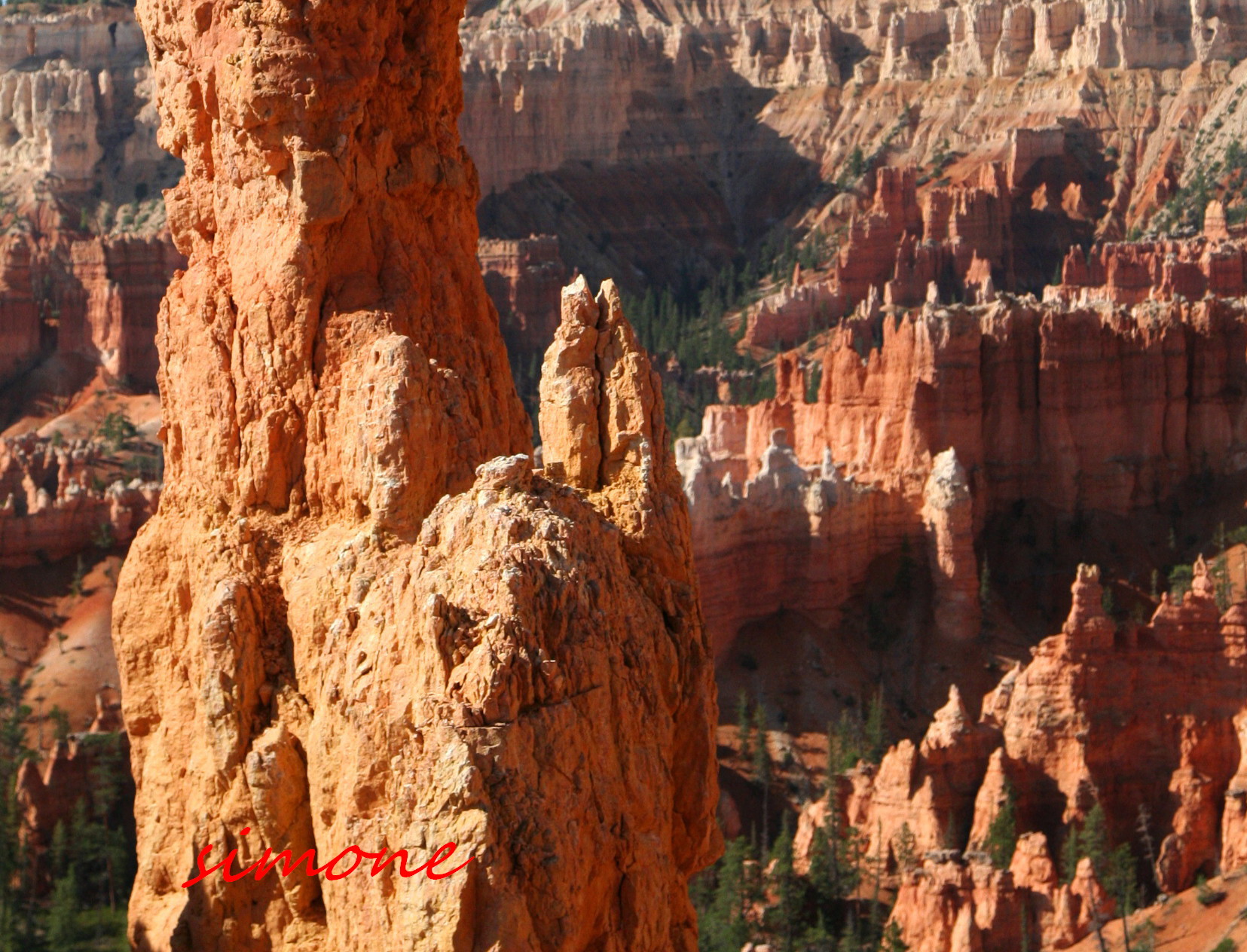 Postcard from Bryce Canyon