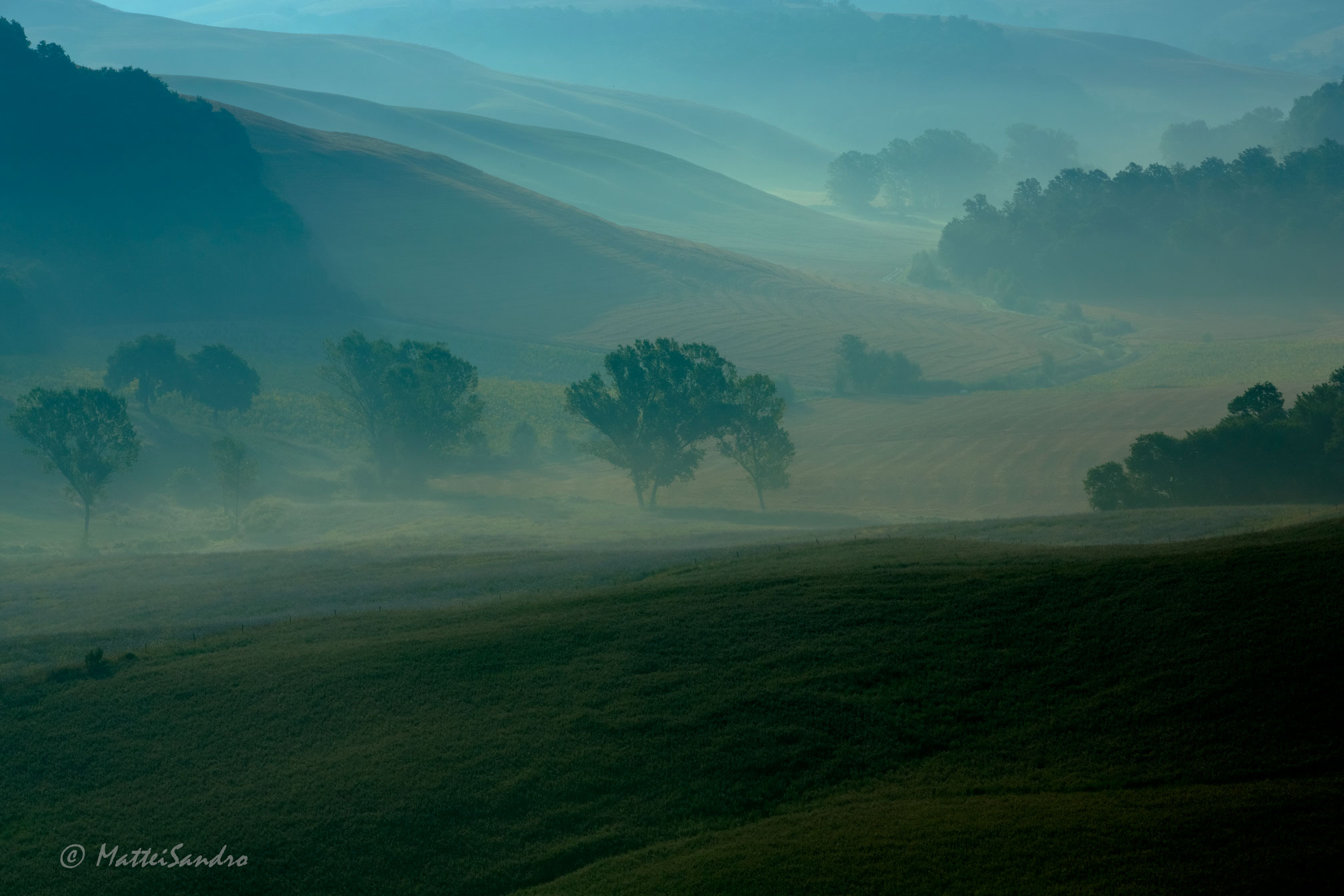 .....la nebbia agli irti colli.........