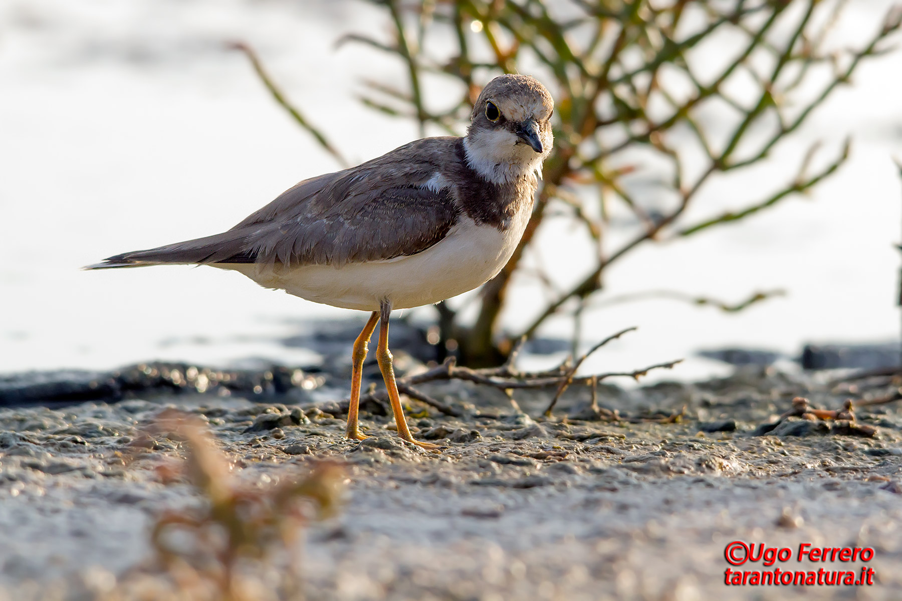 What have you to be photographed!