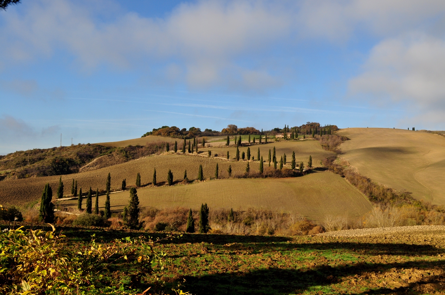 Sinuosa Val d'Orcia