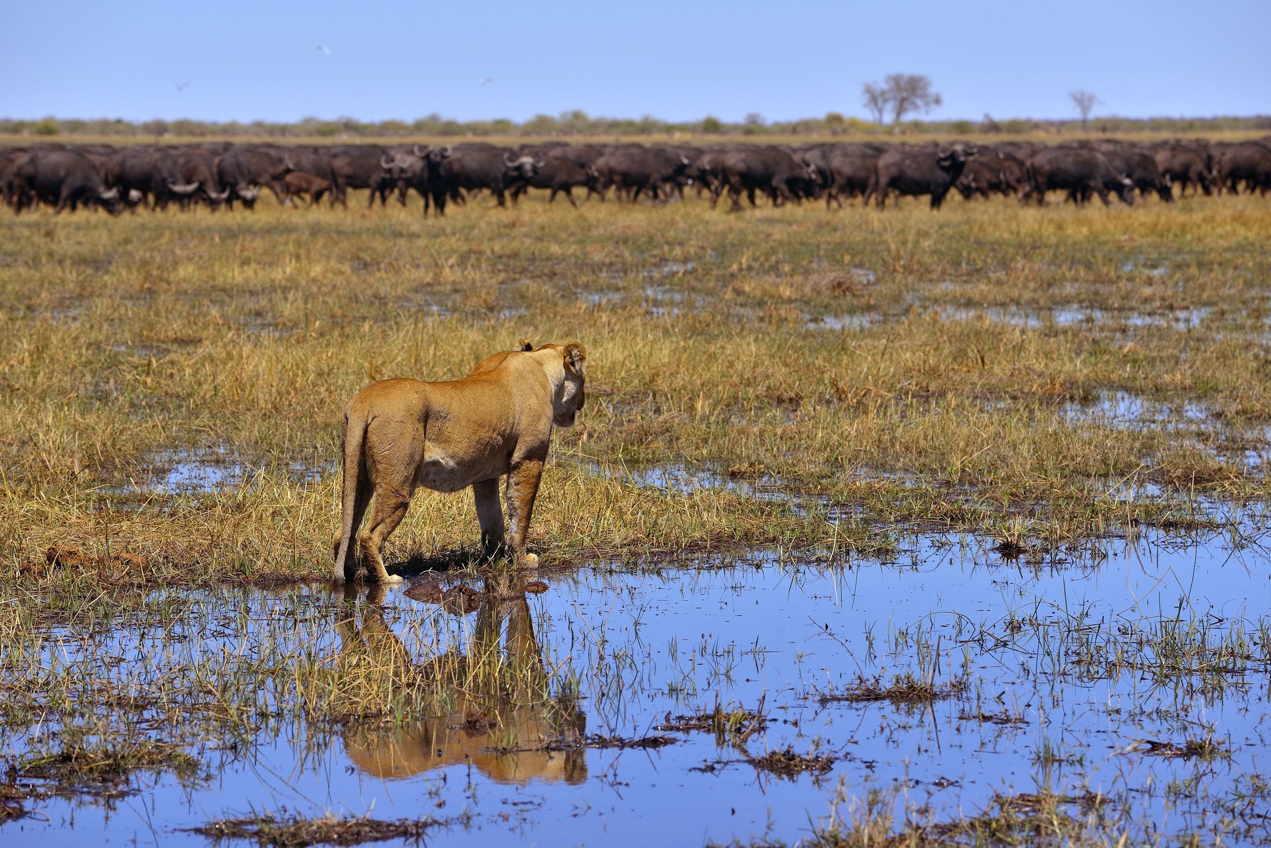 ..il pericolo non è finito....