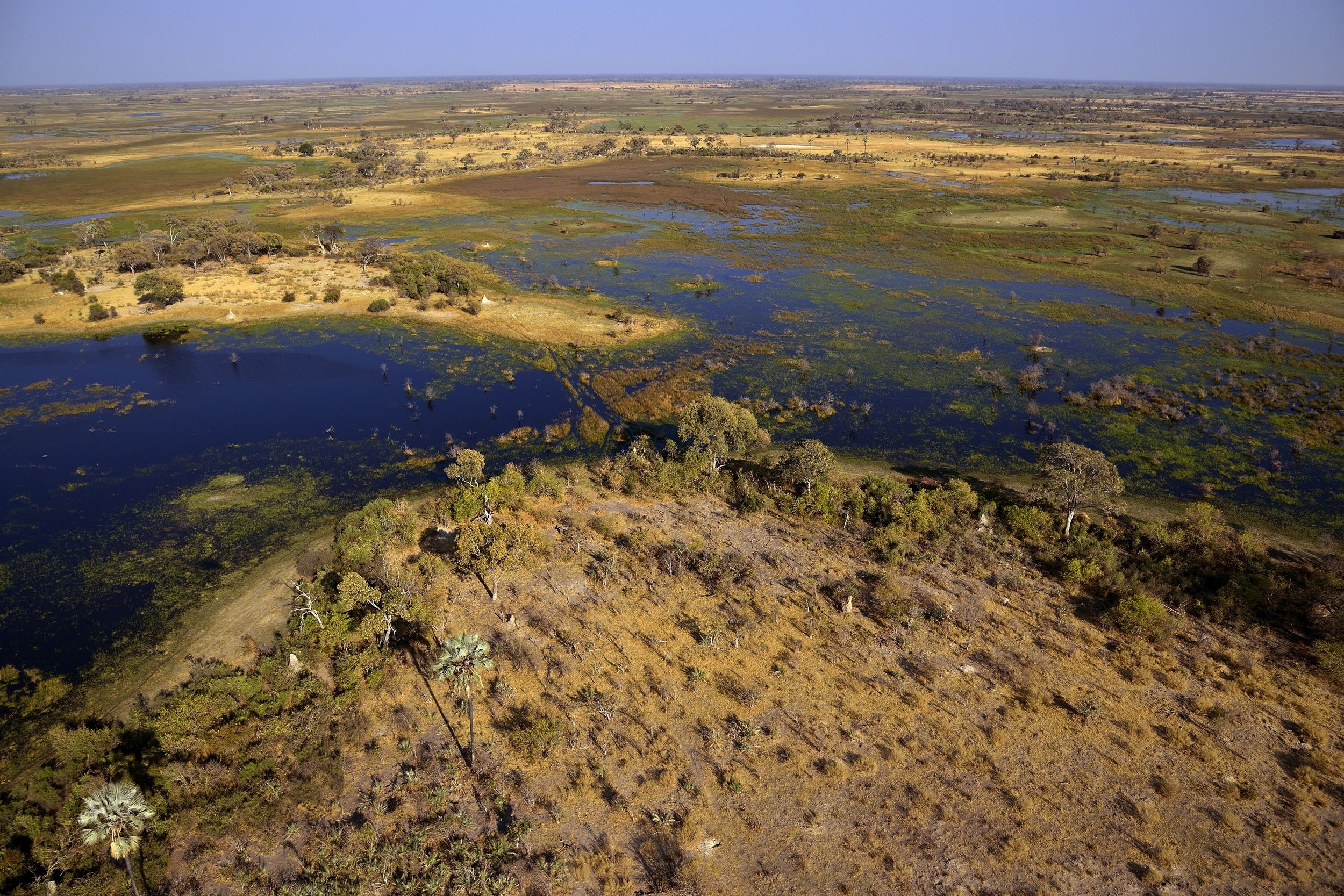 Delta Okavango
