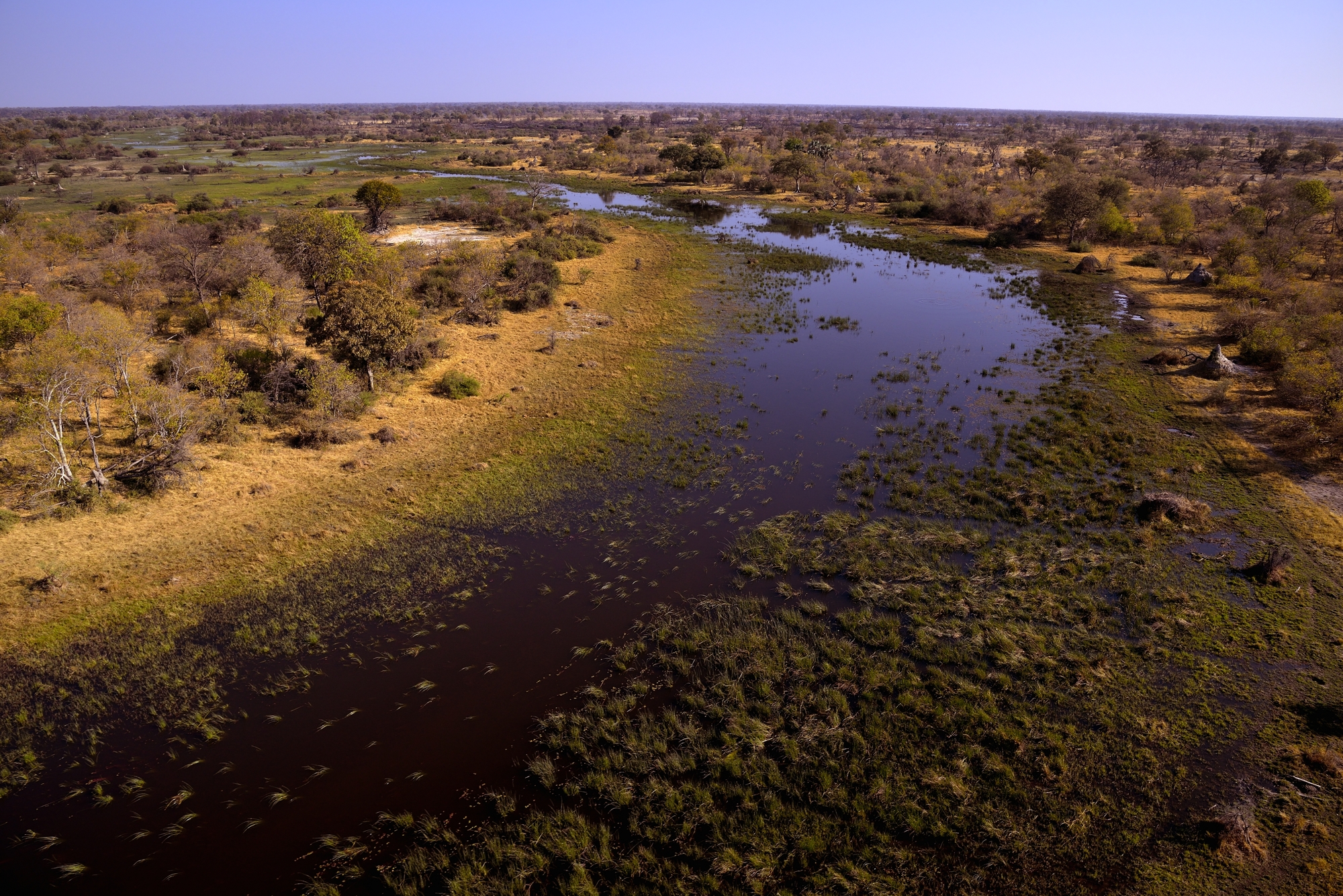 il delta dell'Okavango
