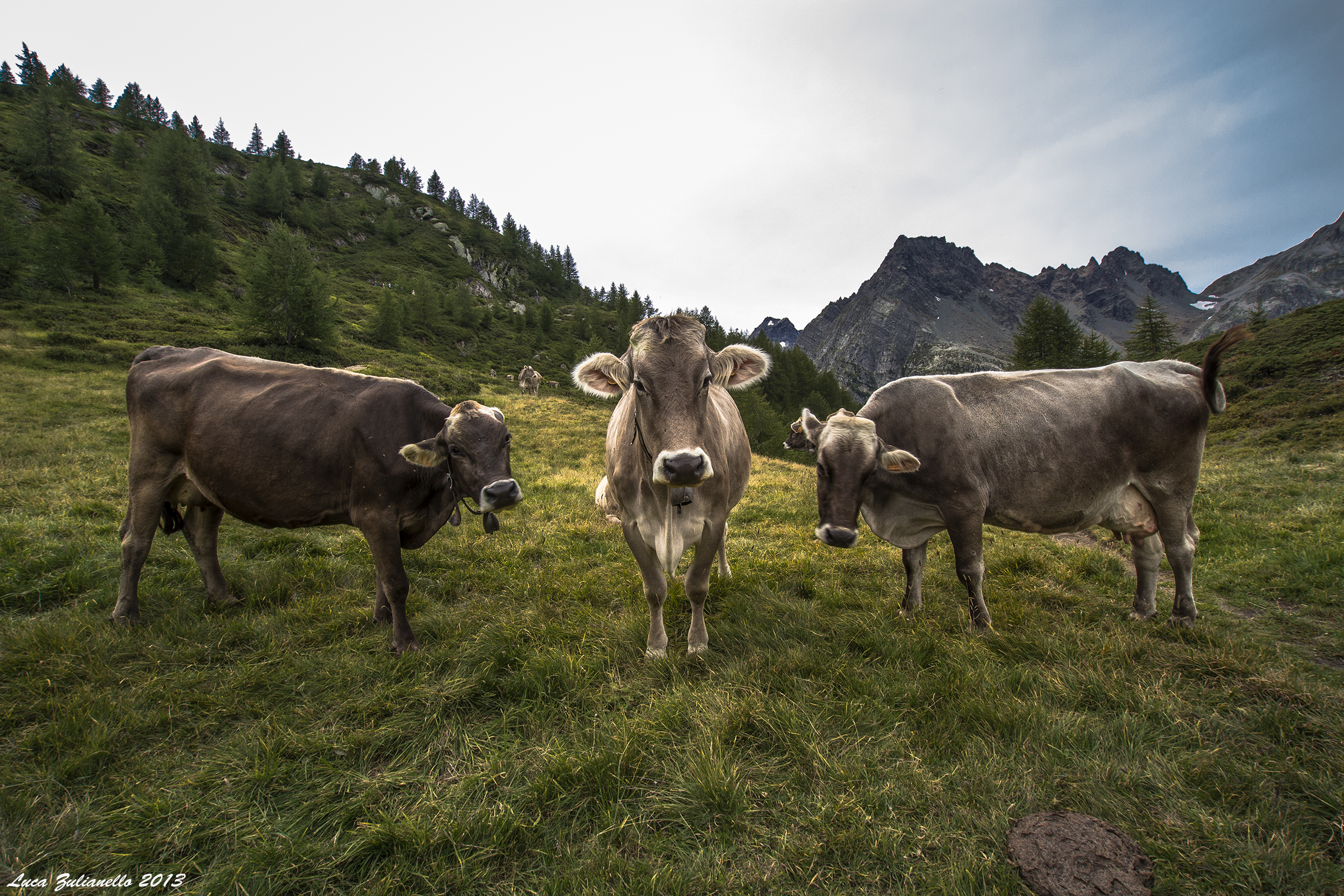 Things that you see once in a lifetime