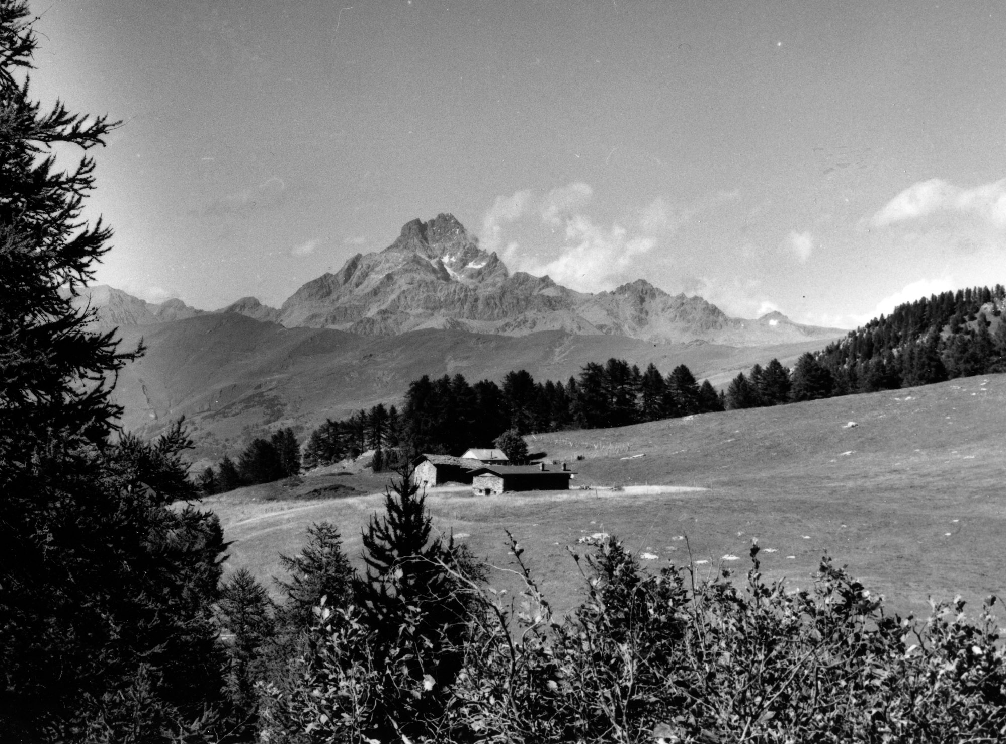 pasture in Val Maira