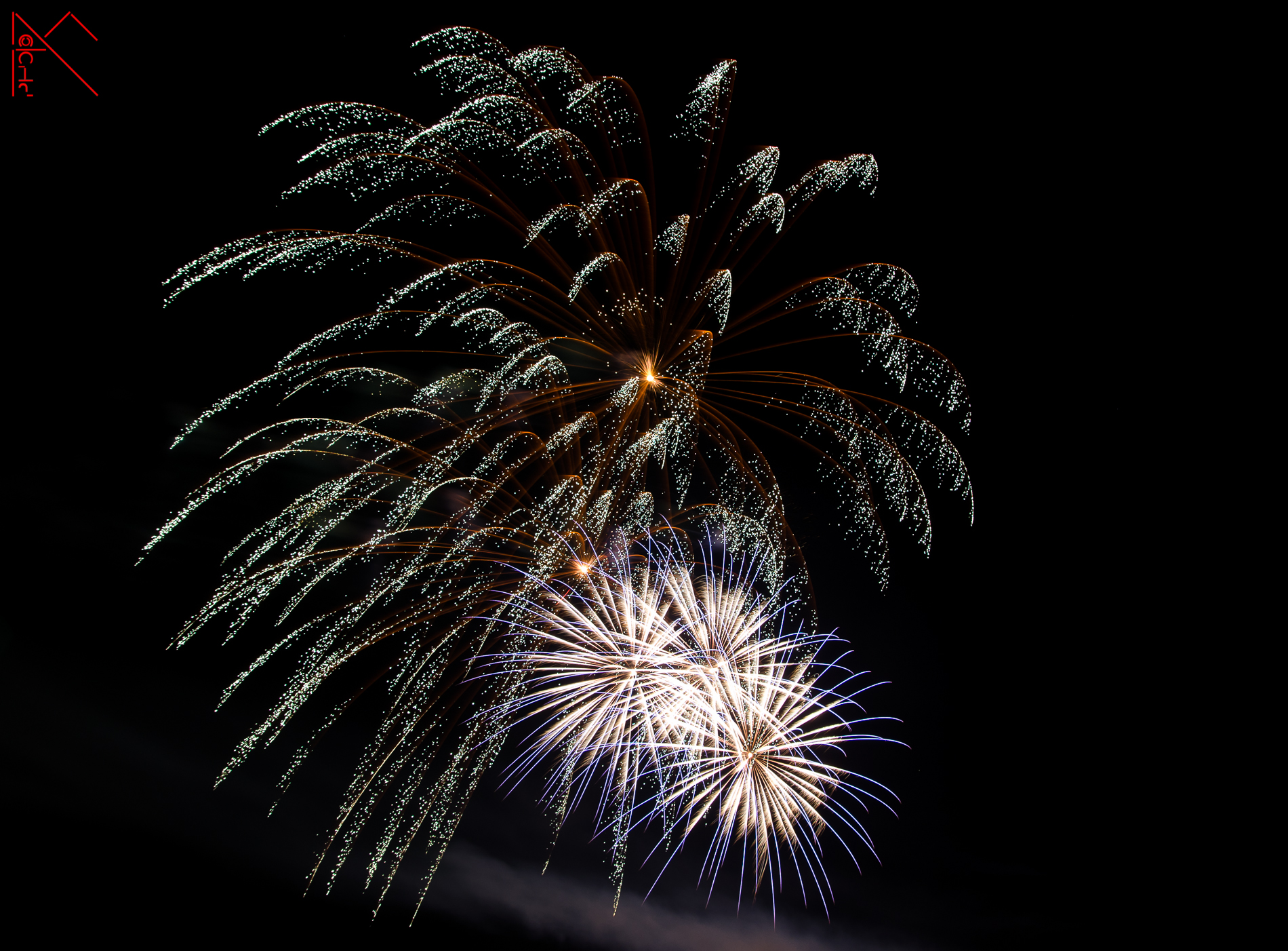 The curls under the willow tree