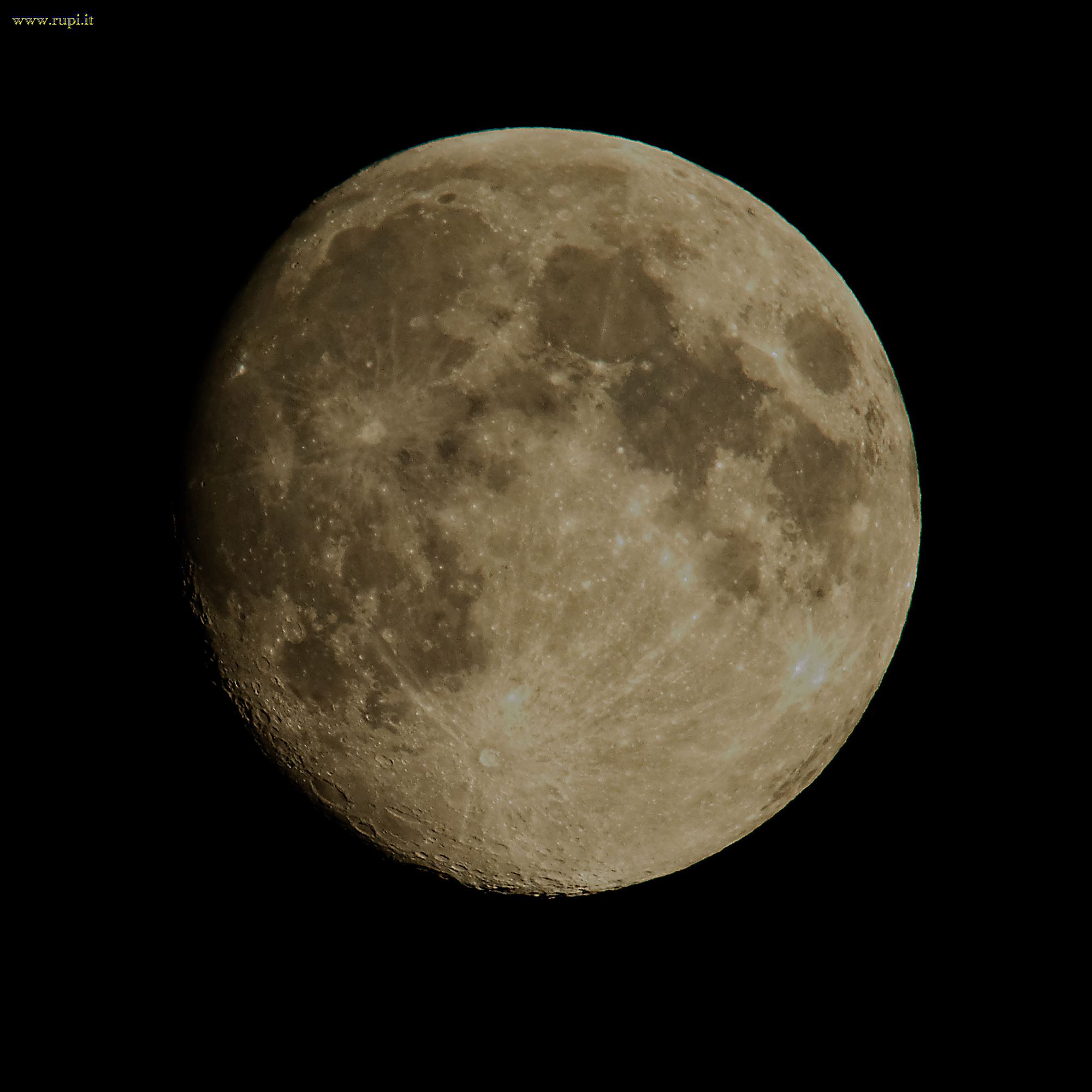 La pallida signora...