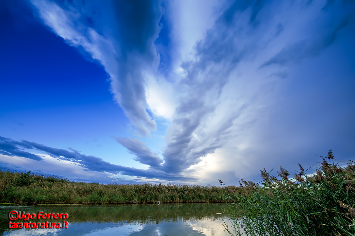 Sunrise in the swamp