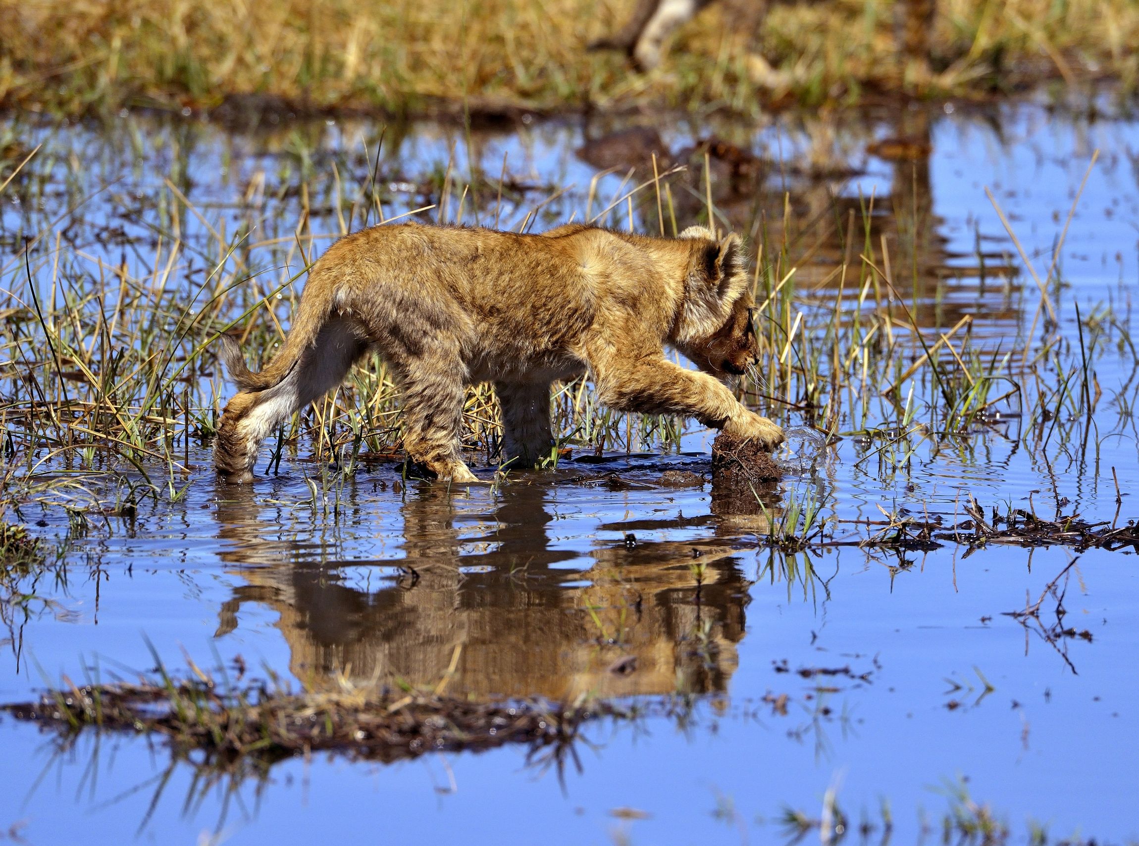 ... ma che fastidio l'acqua...