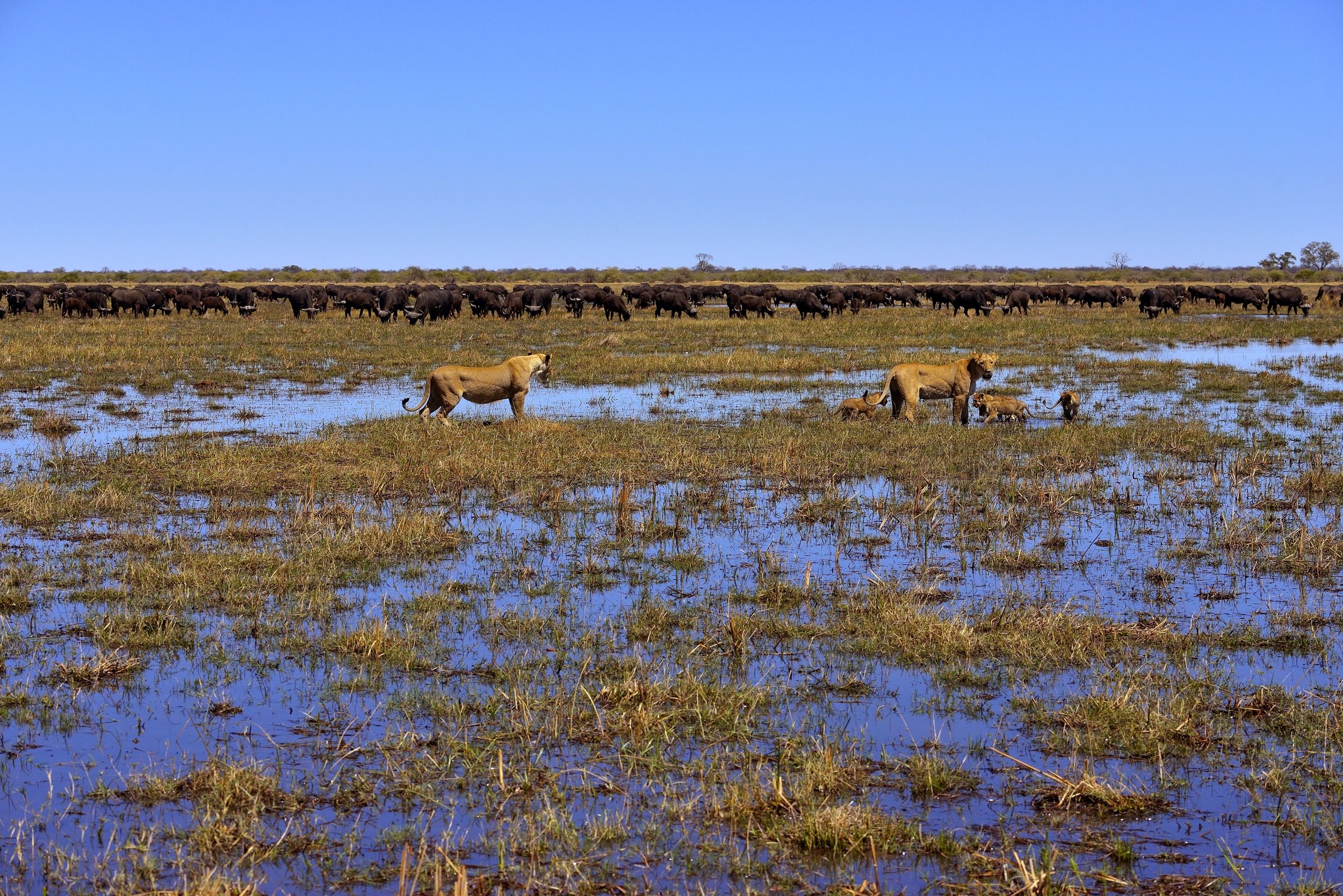 ....aspettiamo qui....