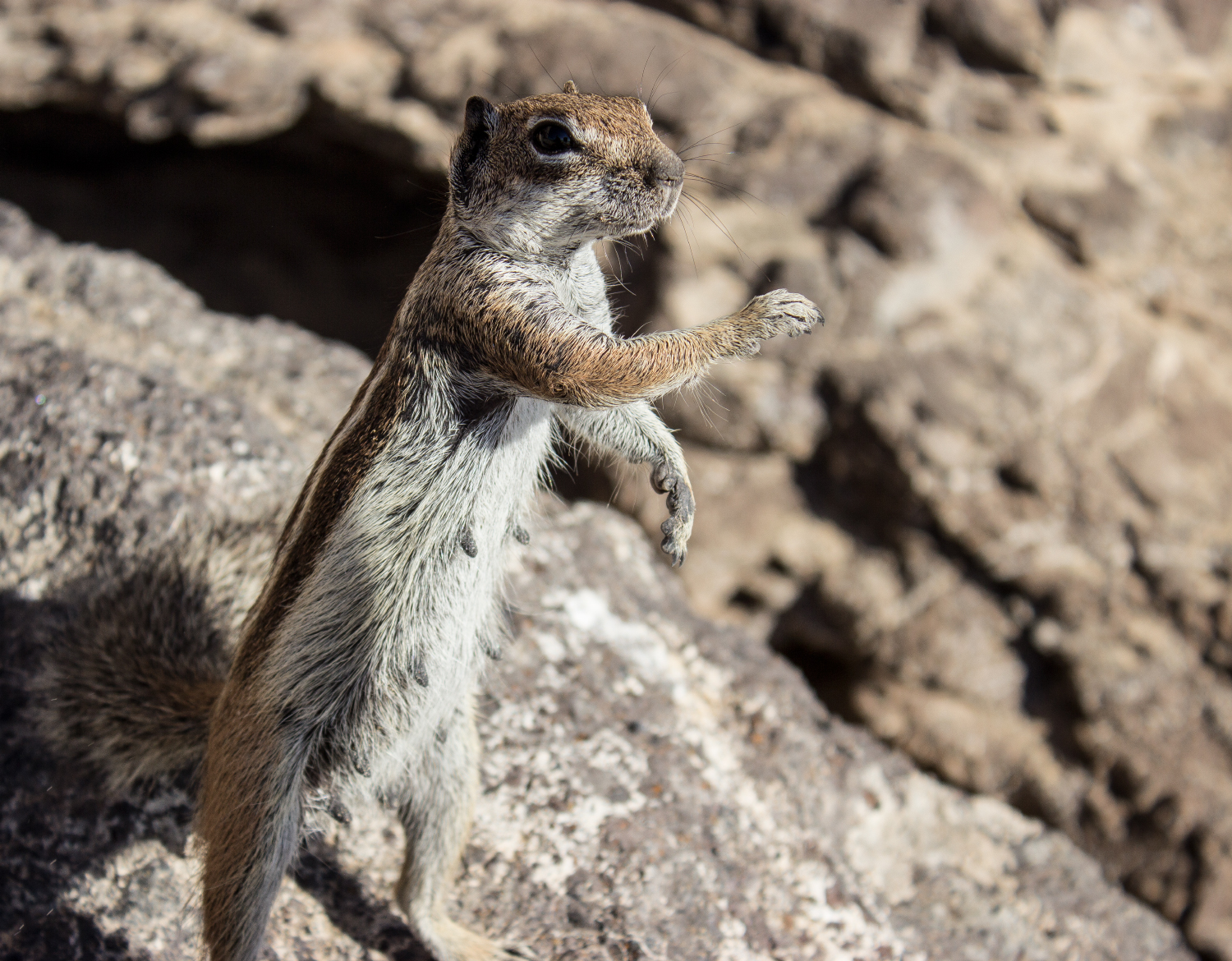 My friend Jonny ... :)