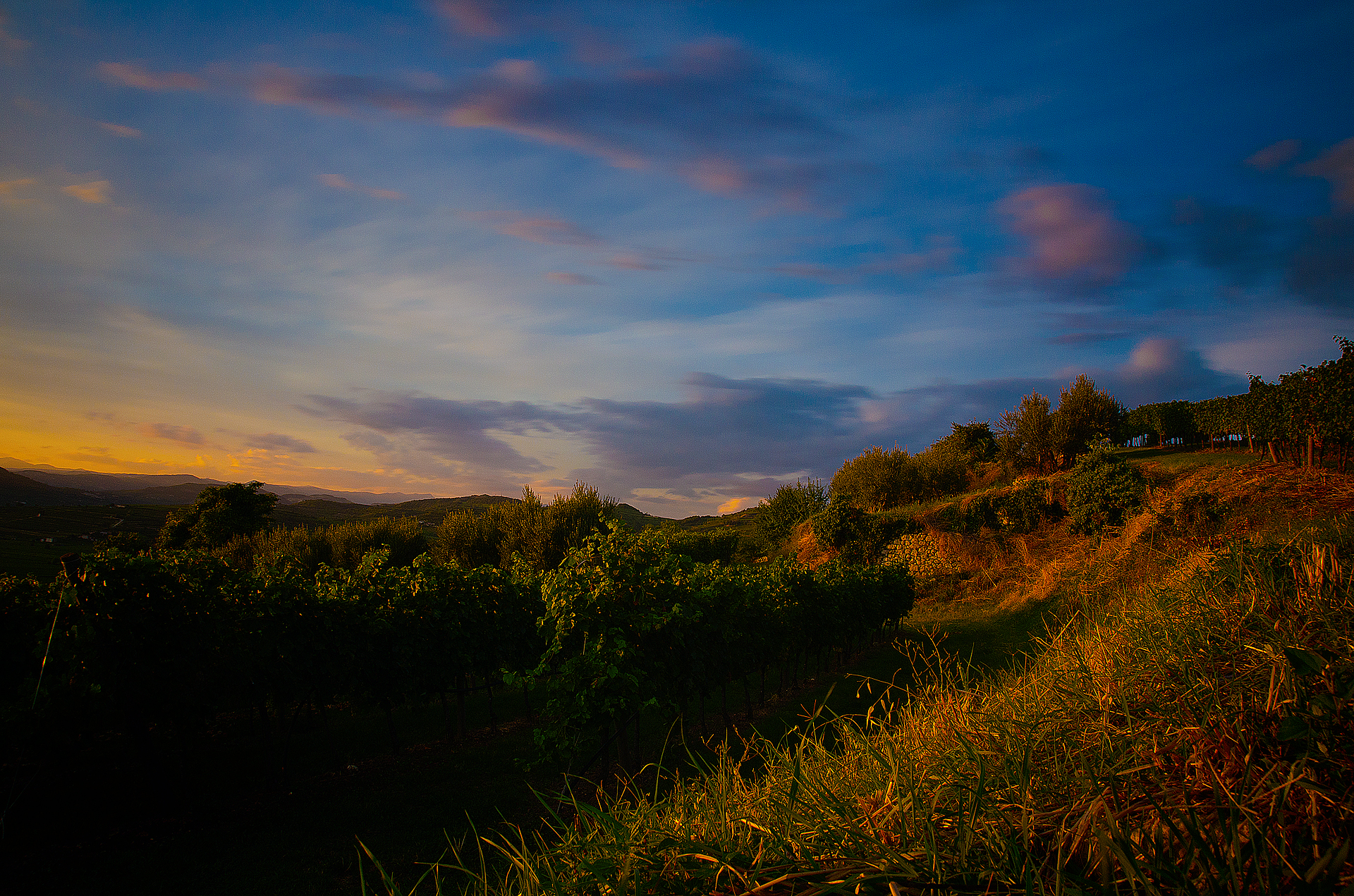 Campagna al tramonto