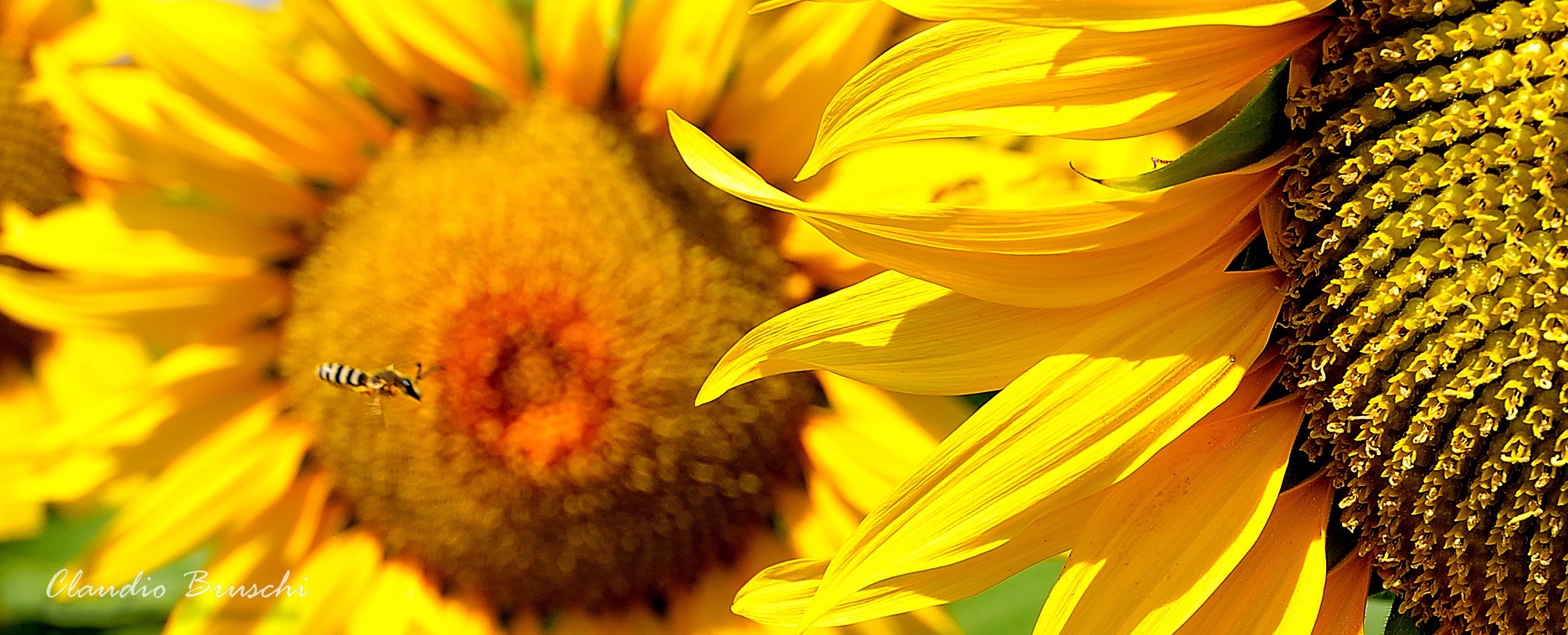 Landing near Montefalco