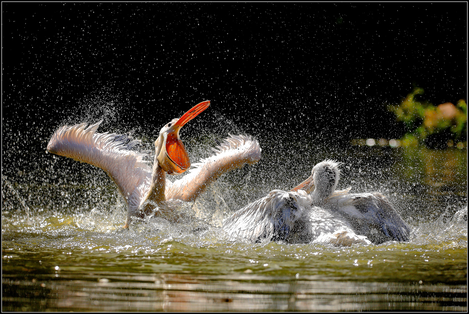 Marriage is a chemical experiment in which two know