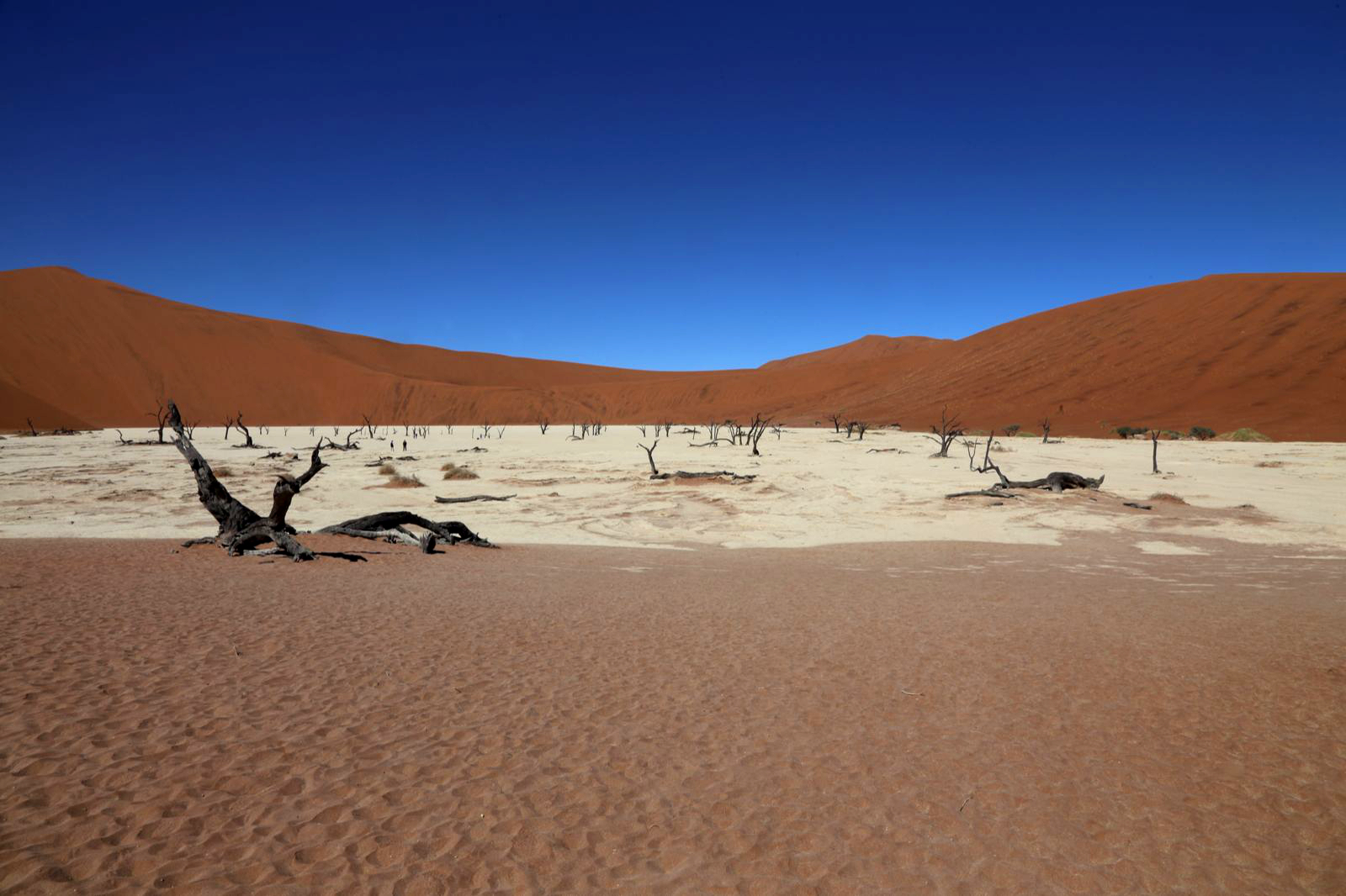 Dead Vlei - Namibia