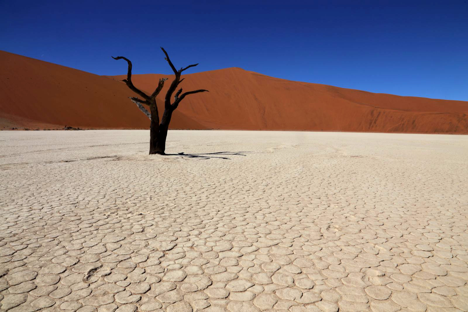Dead Vlei - Namibia
