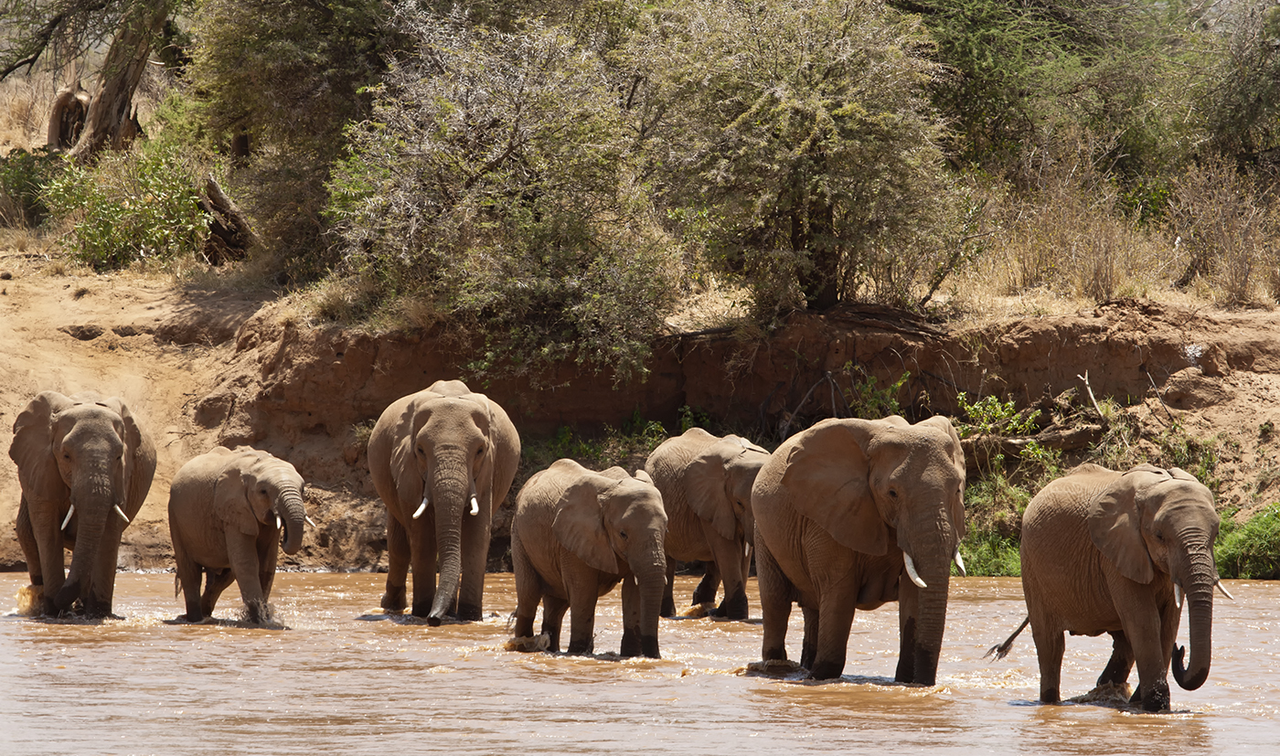 Attraversando il Nwaso Ngiro