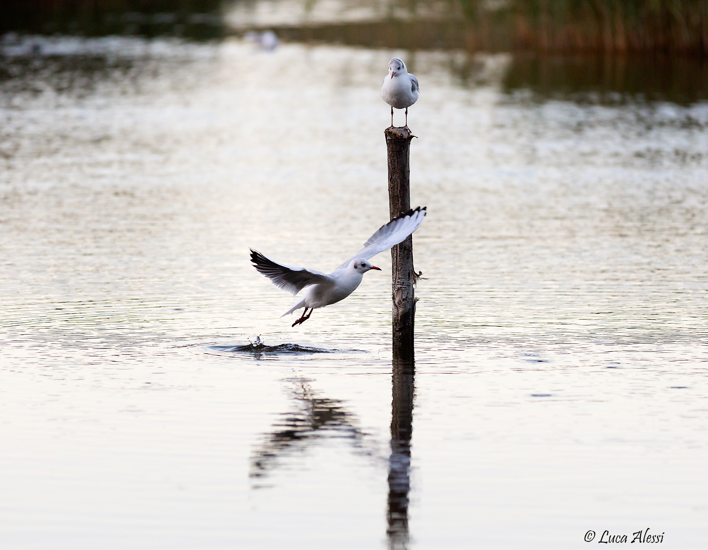 But where do you go ...