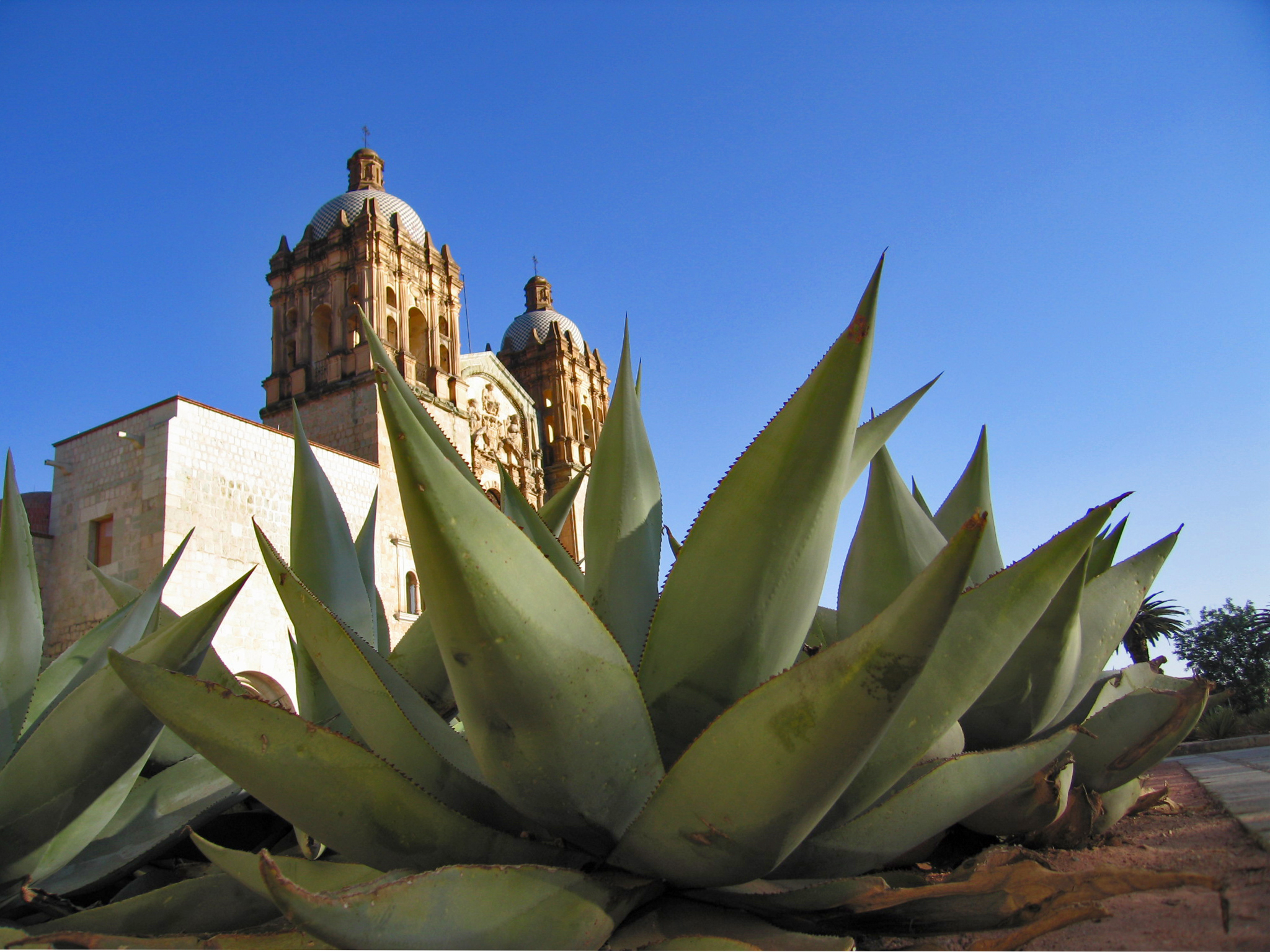 Chiesa di Santo Domingo - Oaxaca