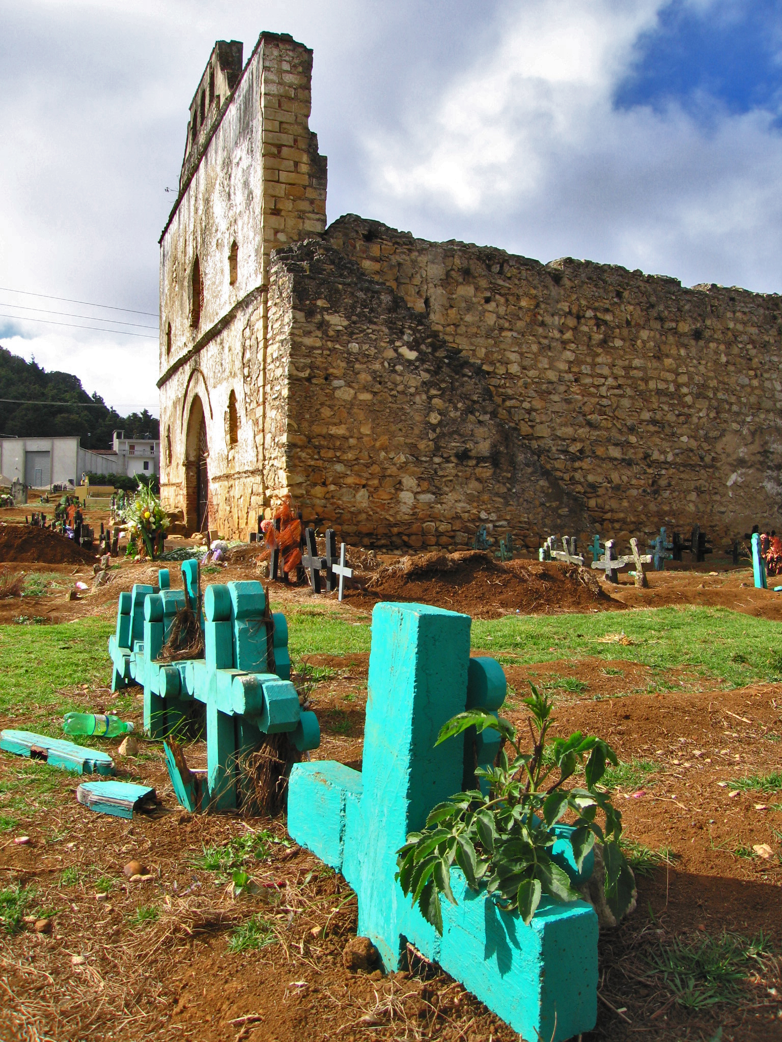 Croci color turchese
