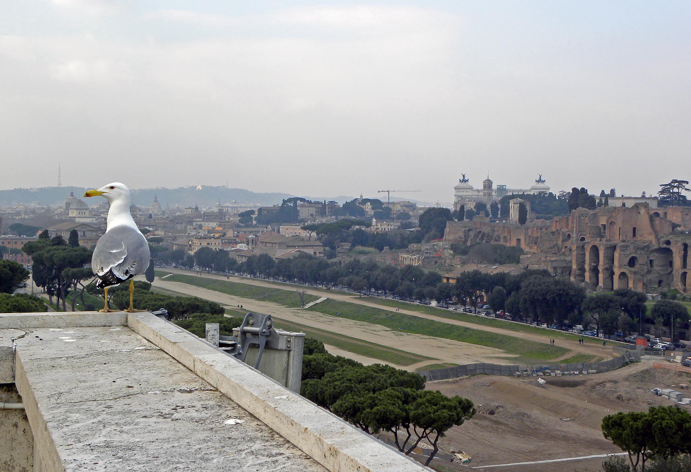 Da quassu' Roma e' una meraviglia
