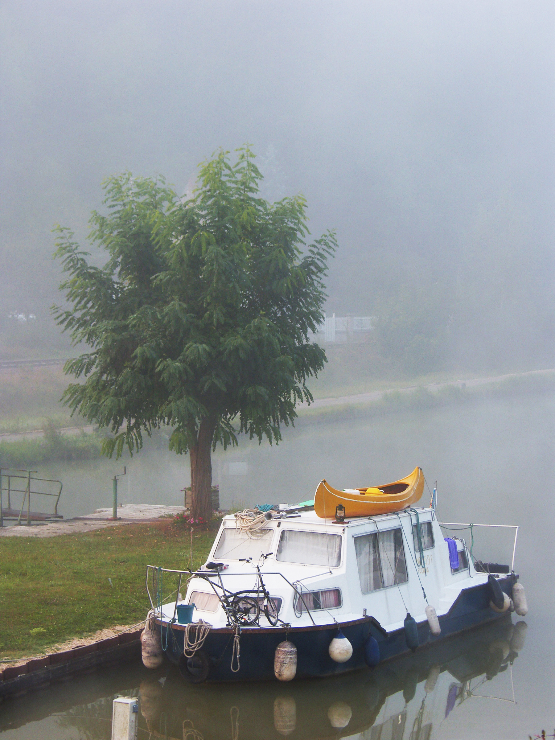 Nebbia lungo il fiume - Borgogna