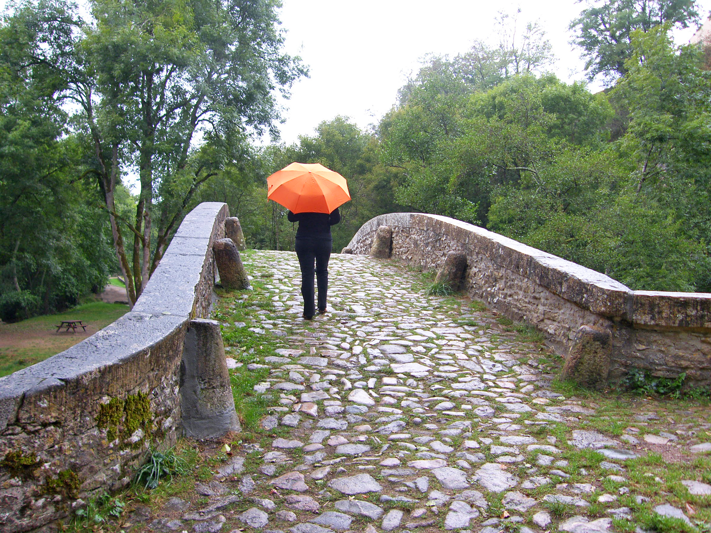 L'ombrello rosso -Borgogna