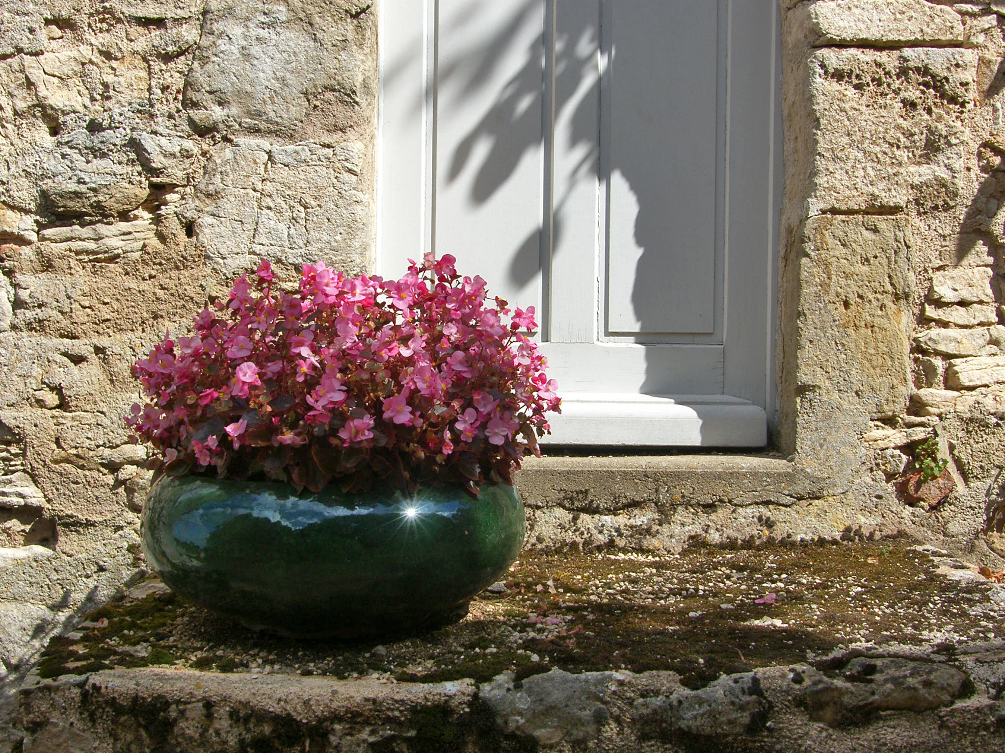 Fiori sulla soglia -Borgogna