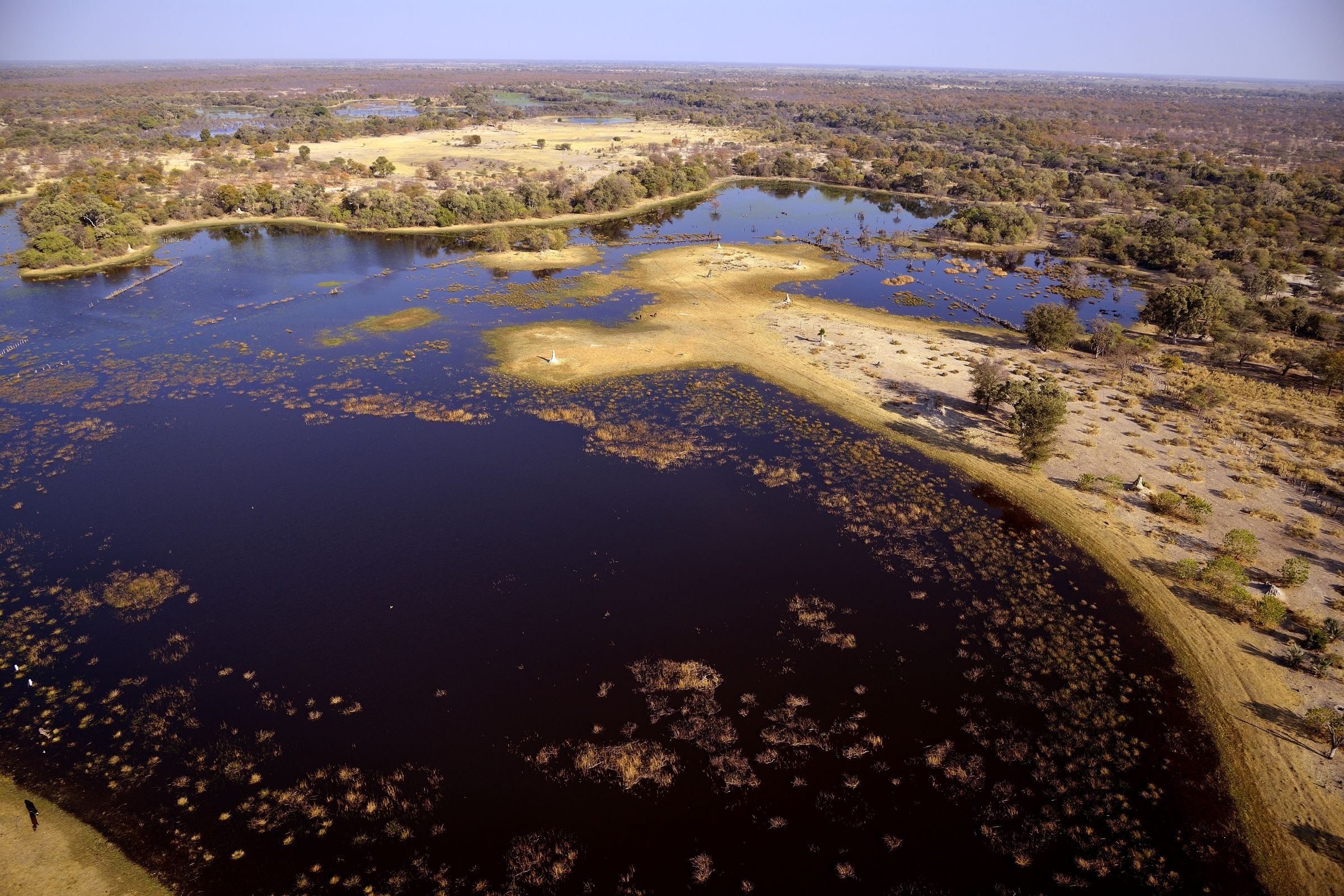 Delta dell'Okavango
