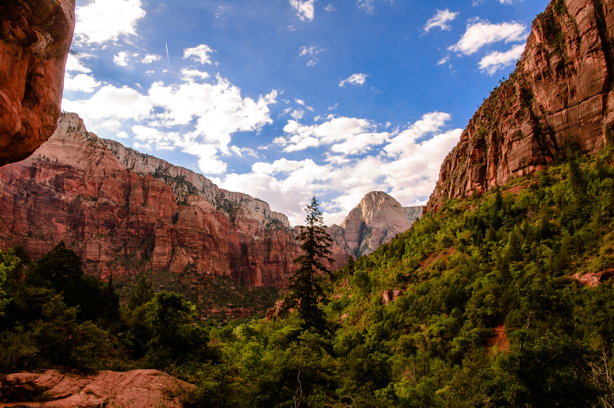 Zion National Park