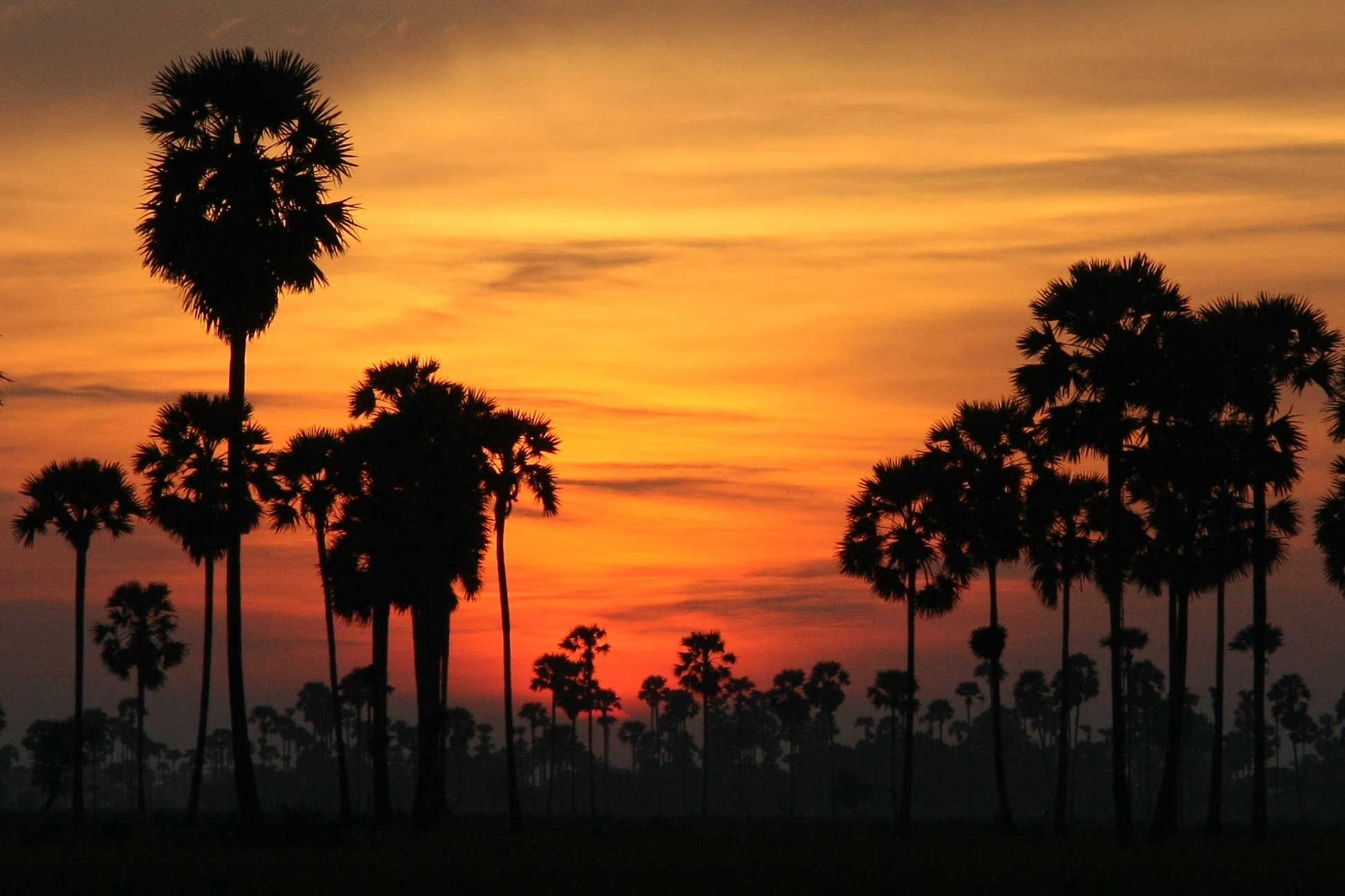 tramonto Siem Reap in Cambogia
