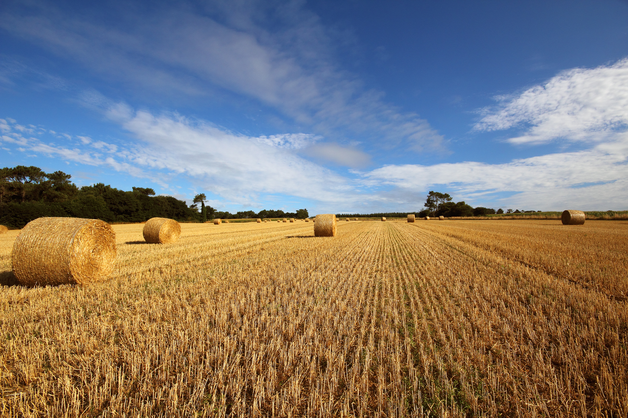 Bretagna countryside