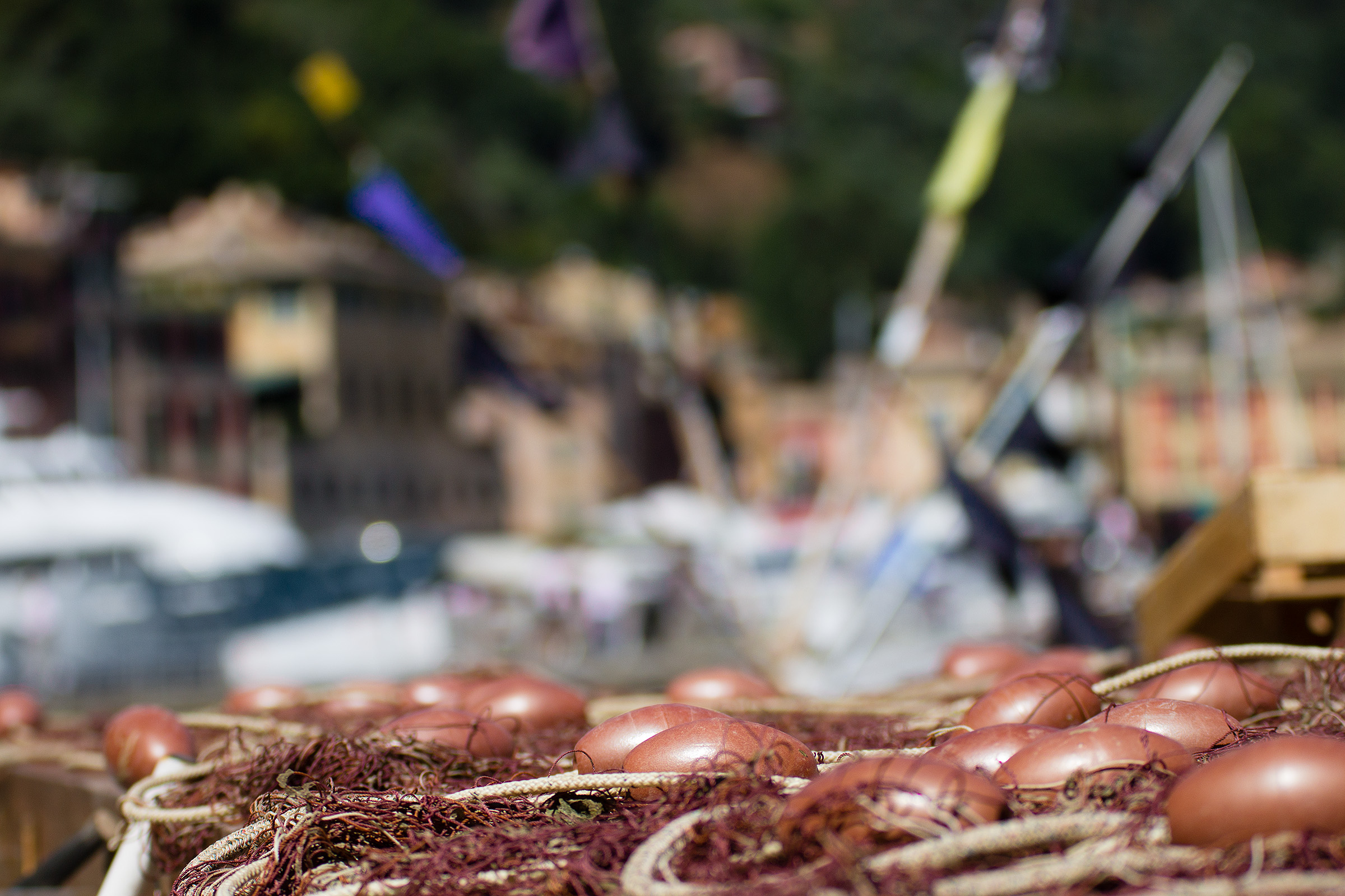 Networks of Portofino