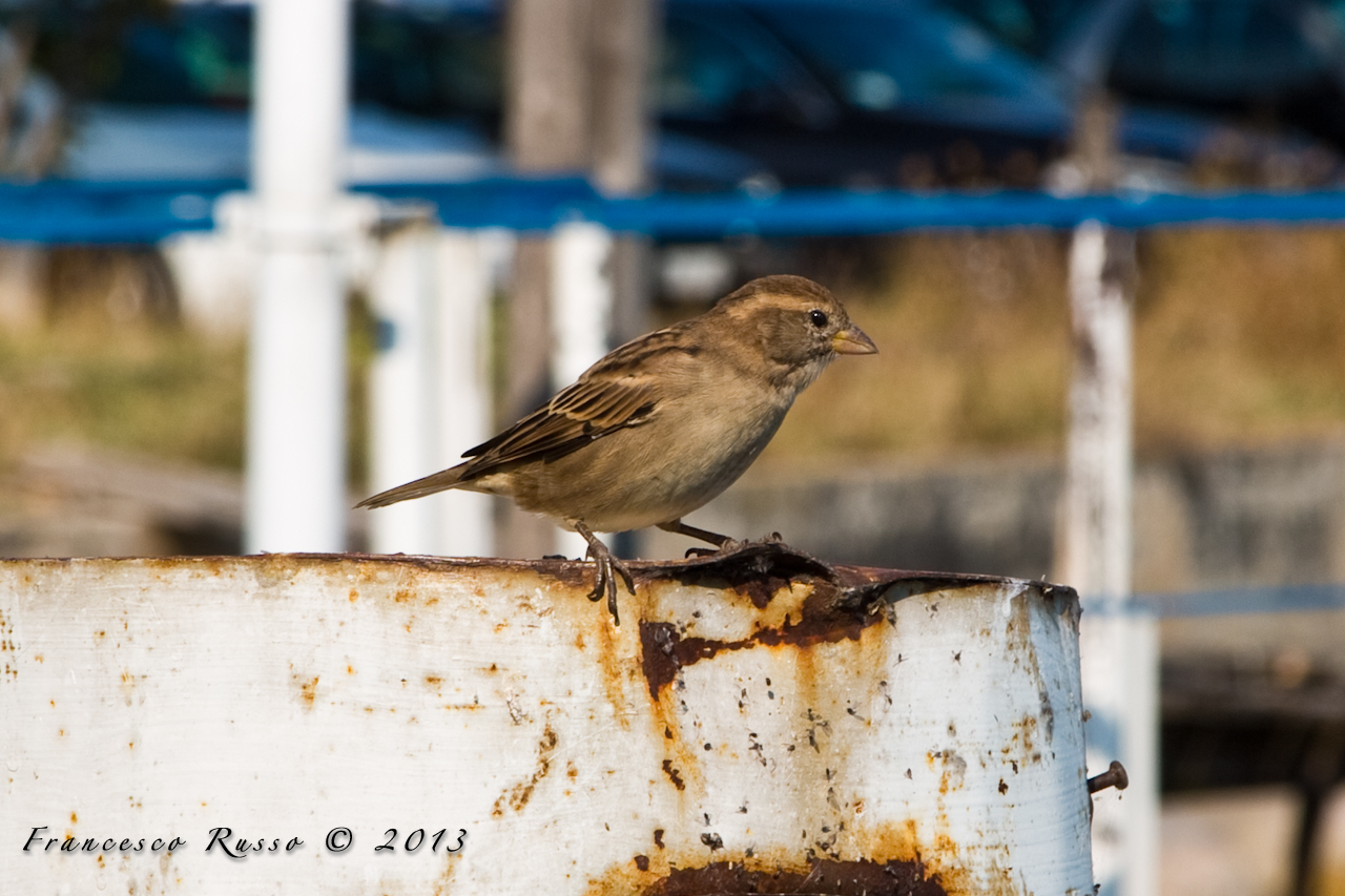 Waiting for something