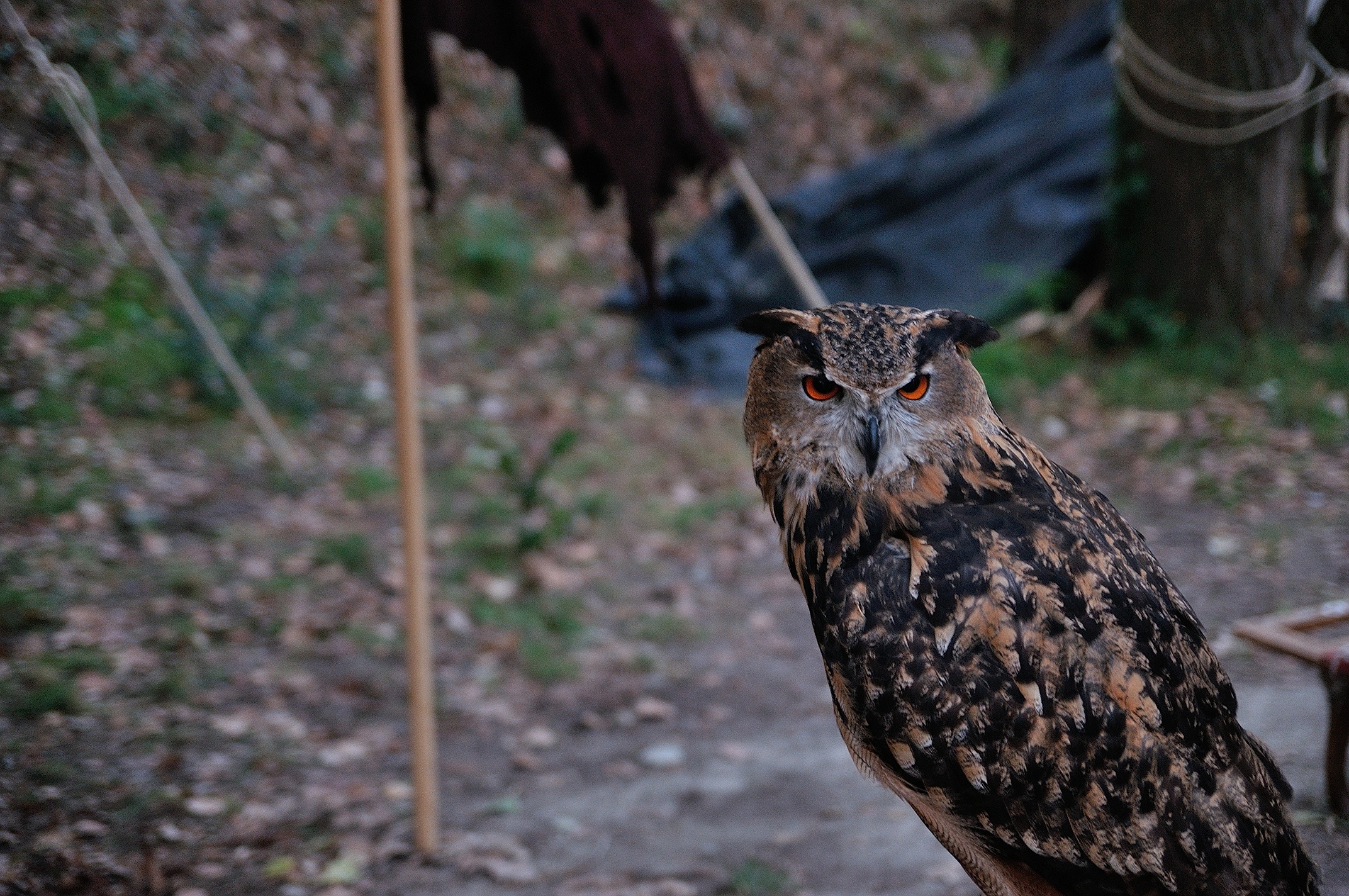 Hey, are you mad at me?